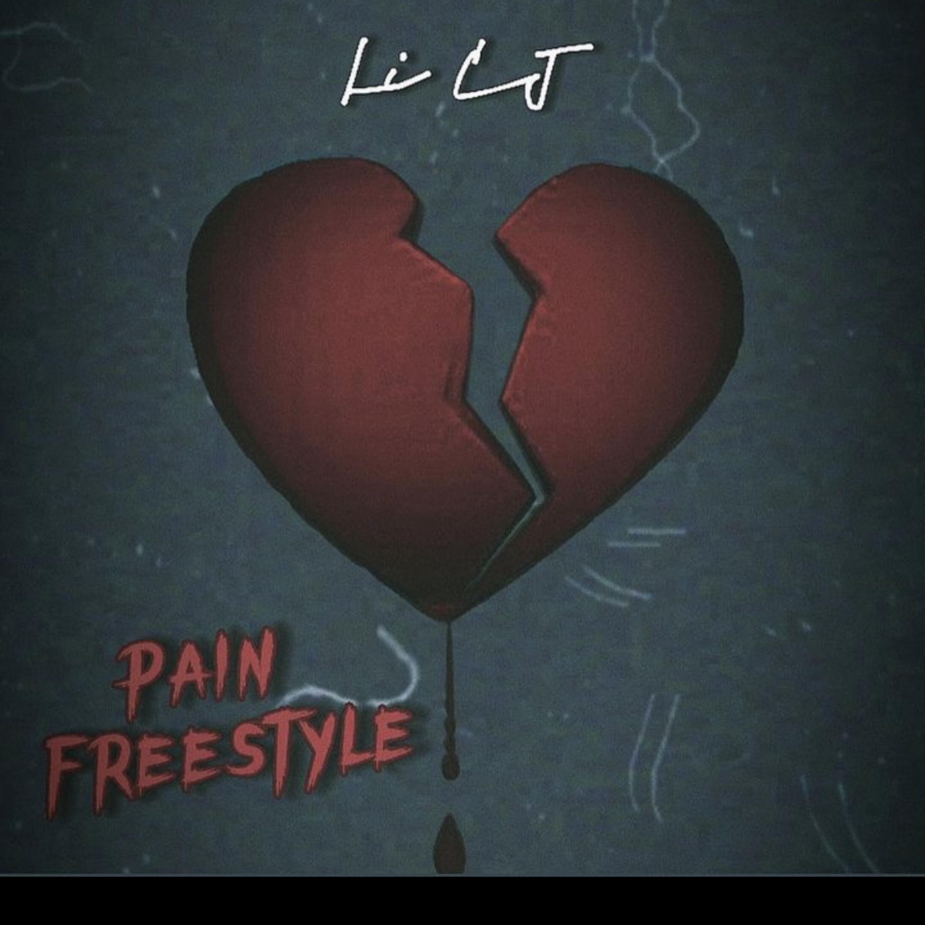 Pain Freestyle artwork