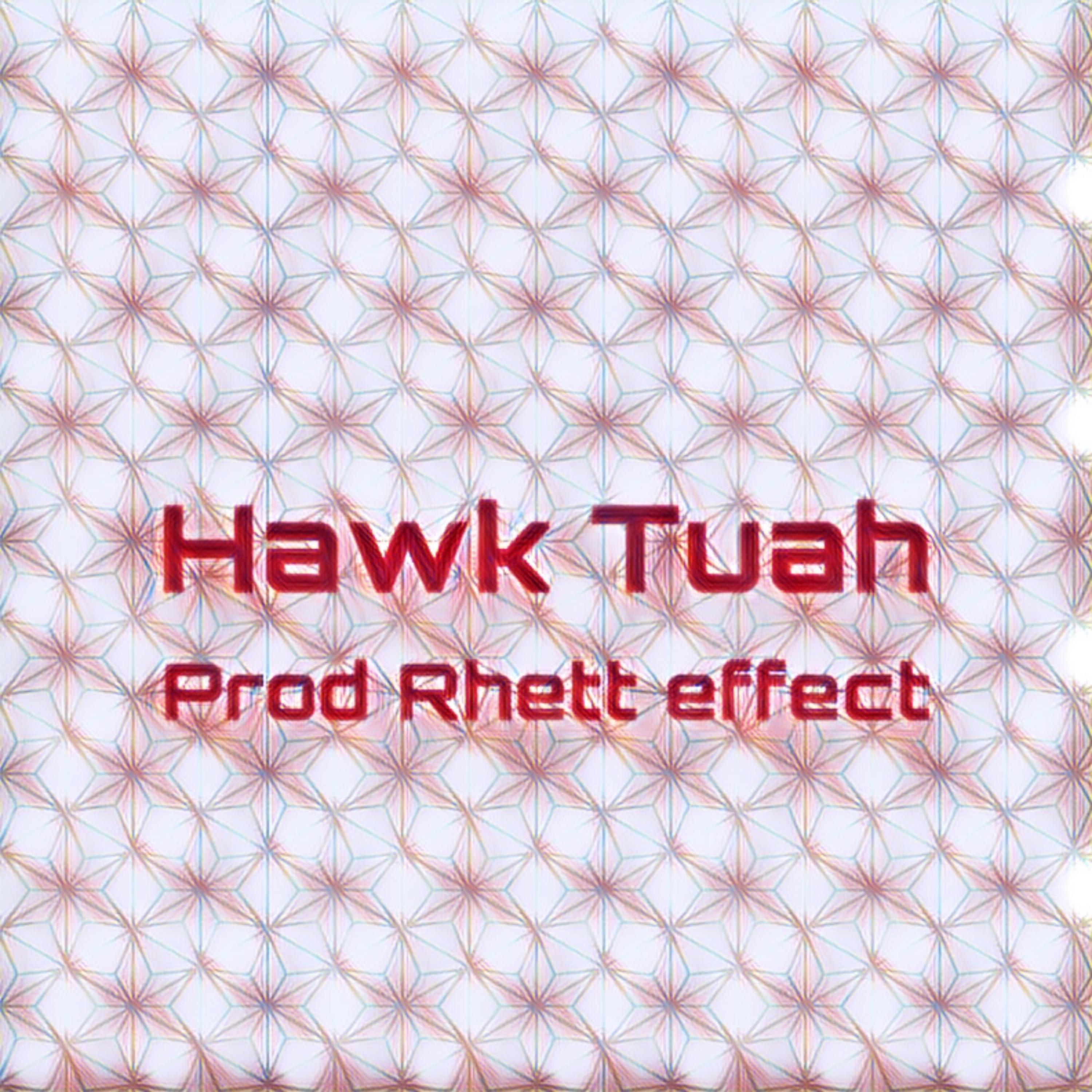 Hawk Tuah artwork