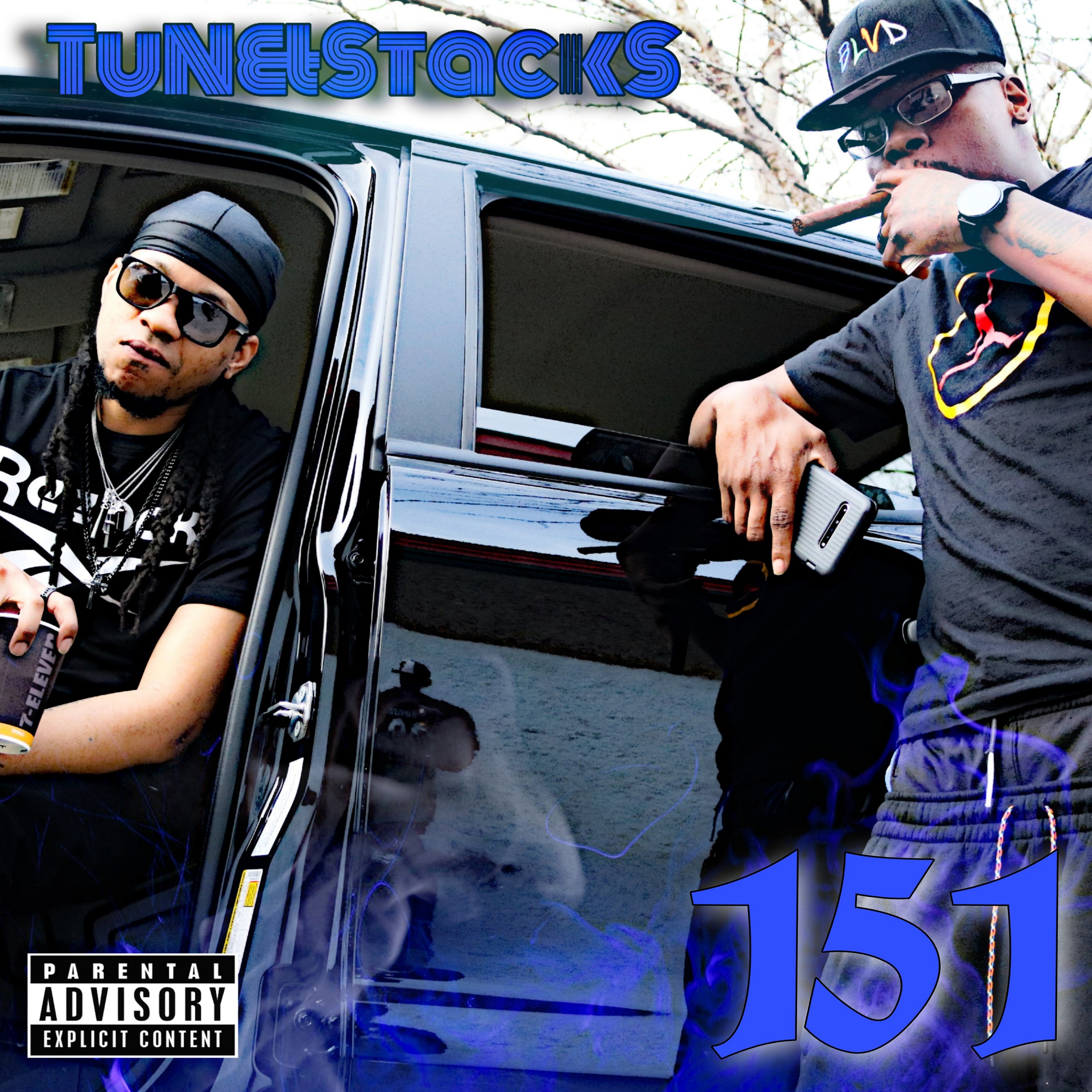 151 artwork