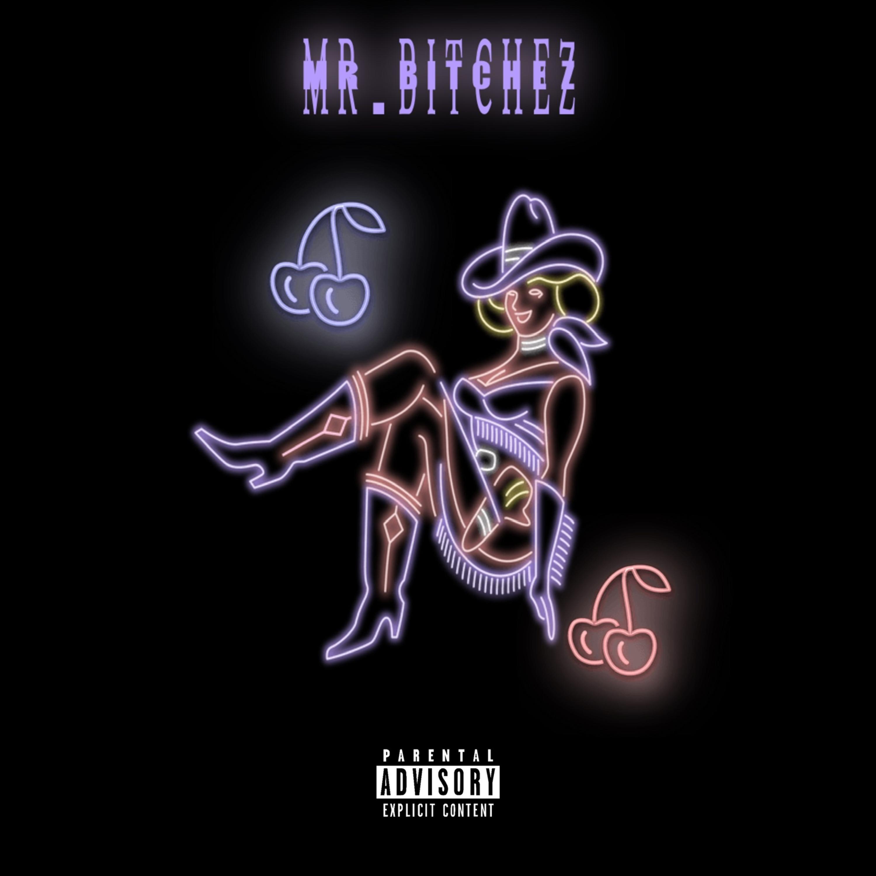 Mr. Bitchez artwork