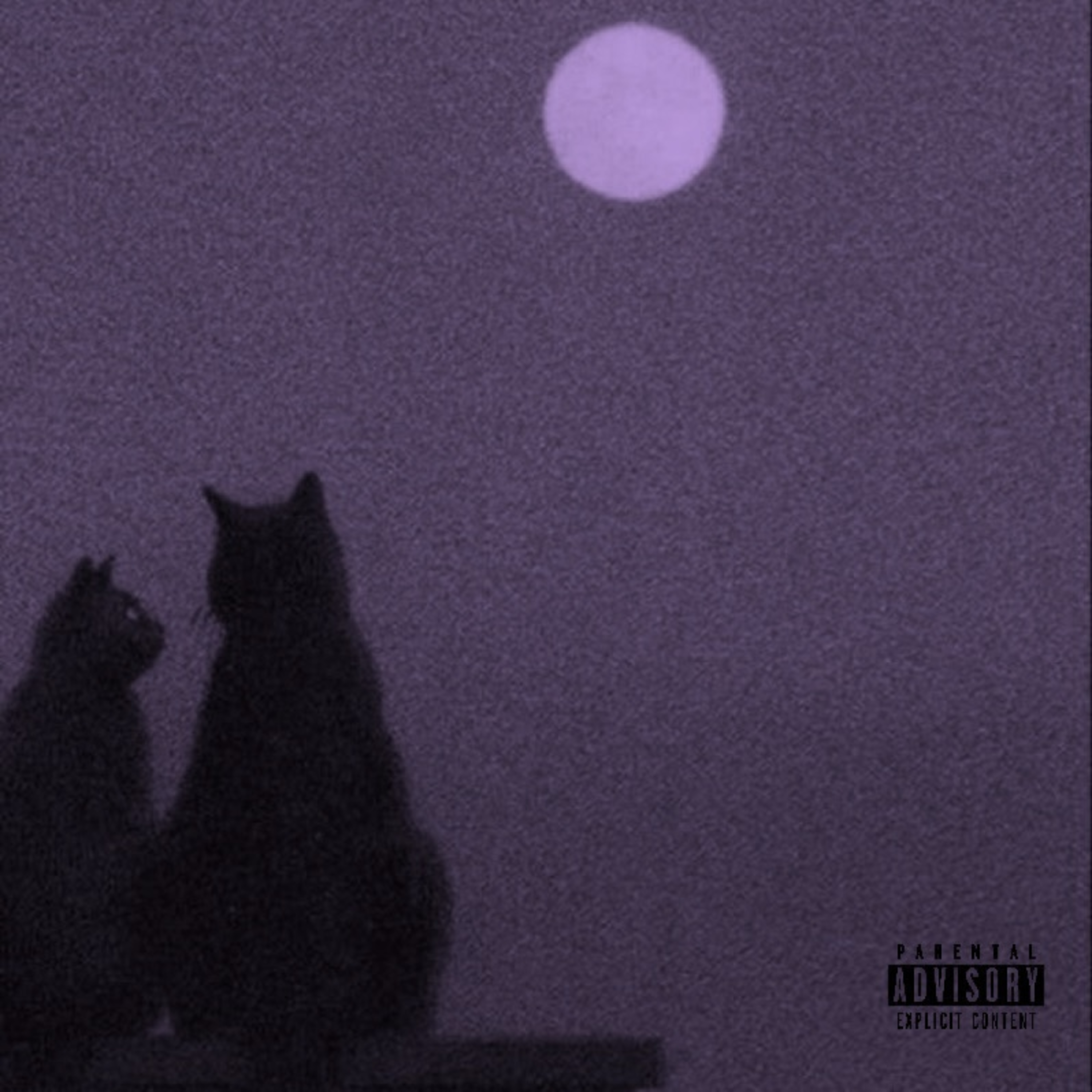 chasing better thrills artwork
