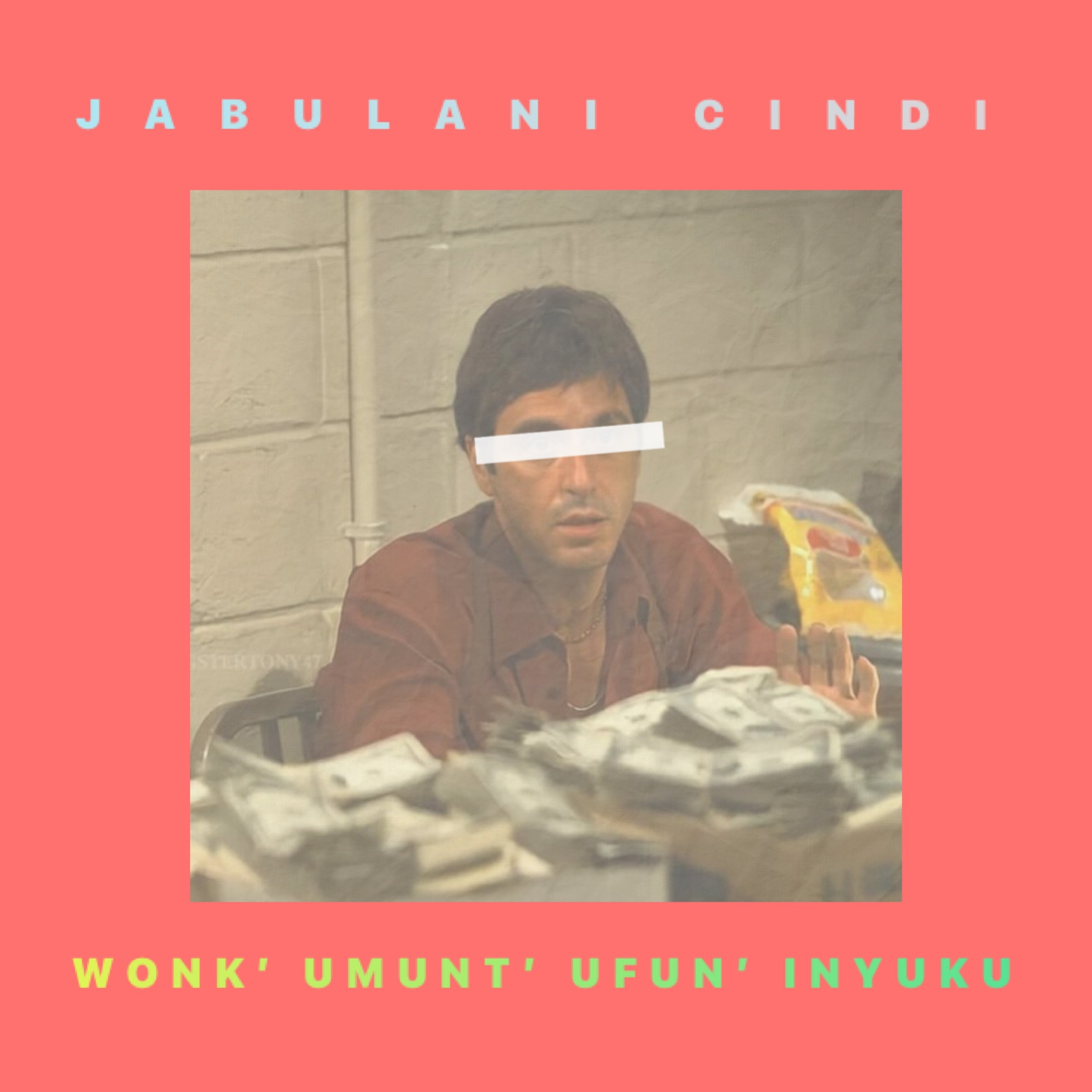 Wonk' Umunt' Ufuna Inyuku by Jabulani Cindi cover art