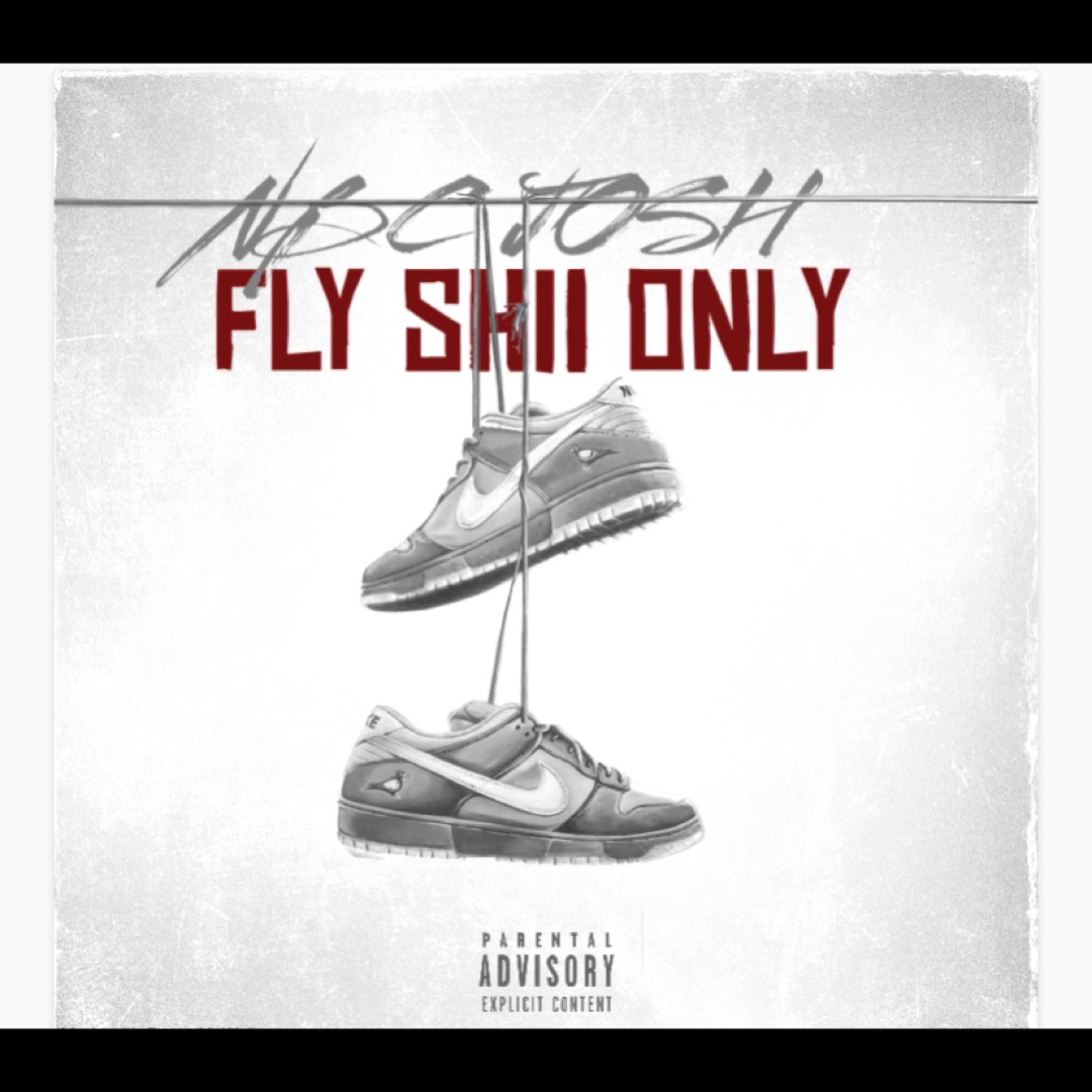 Fly Shii Only artwork