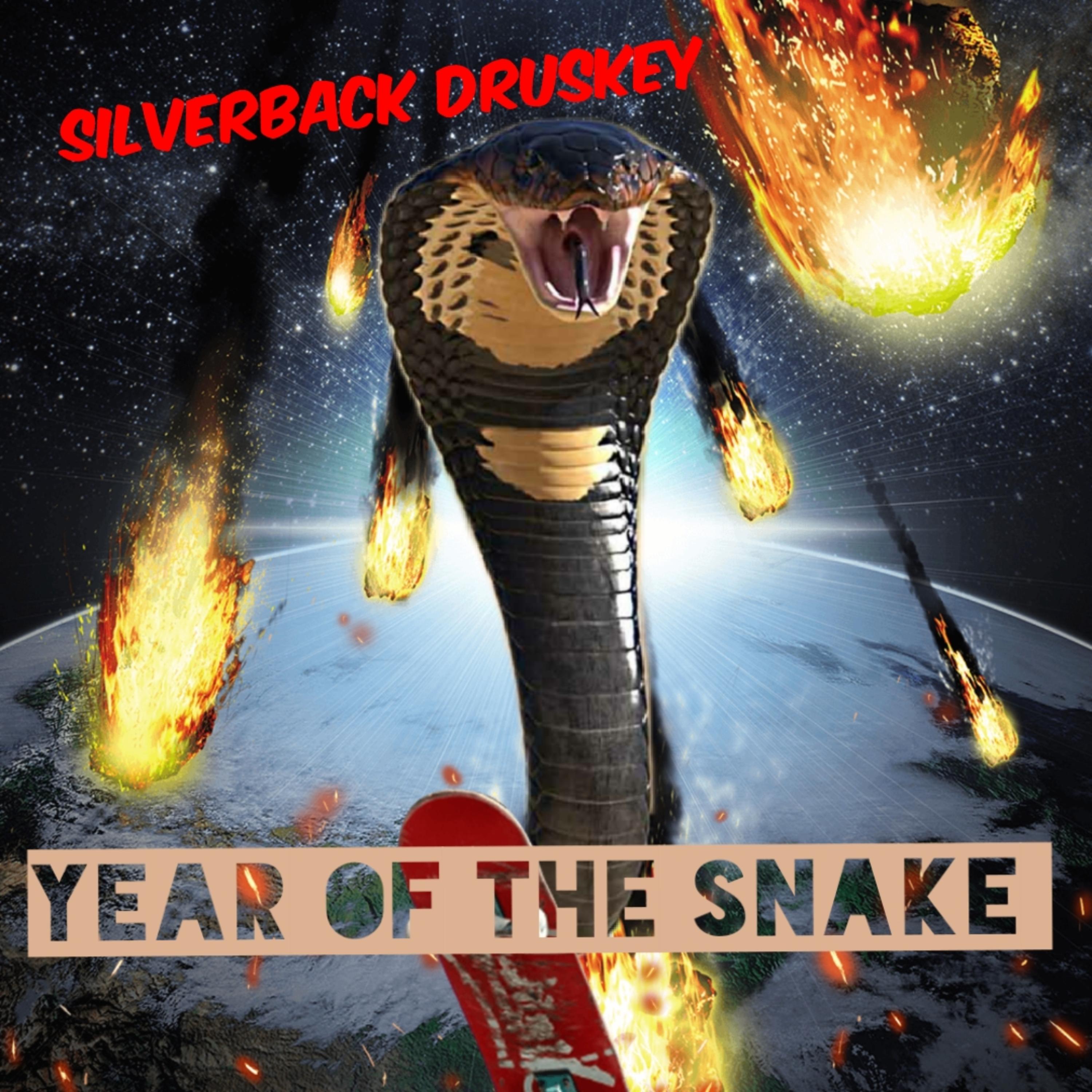 Year Of The Snake artwork