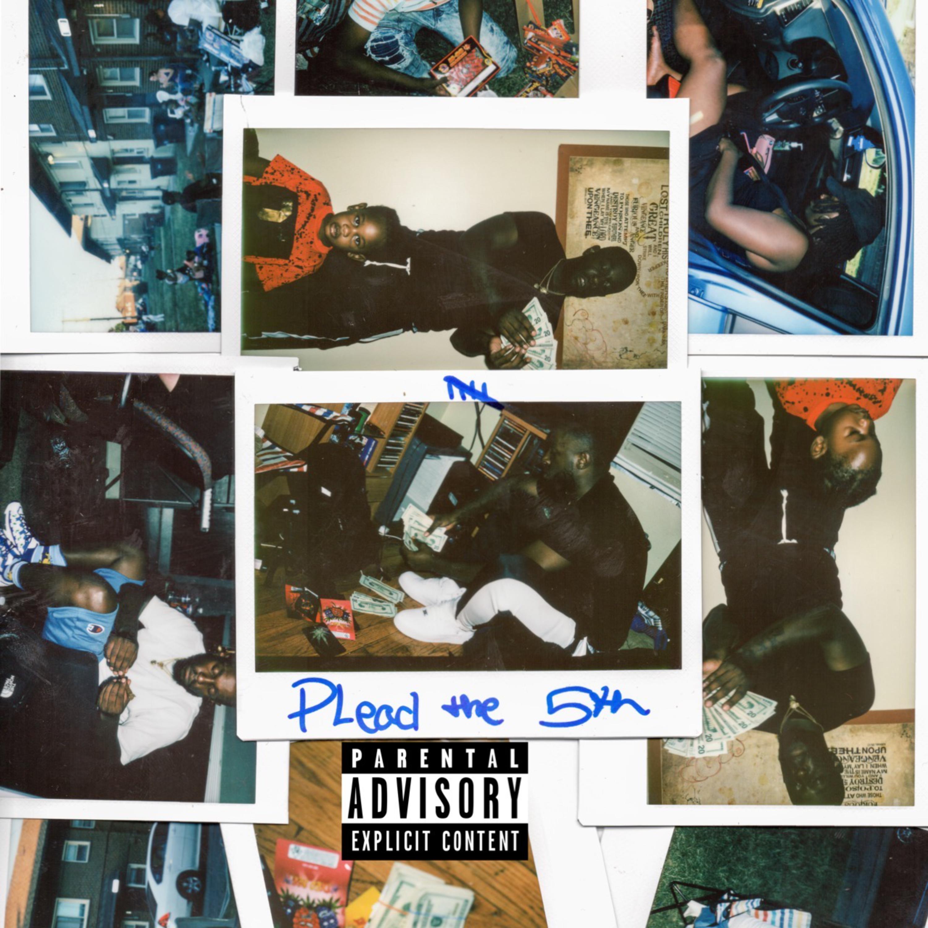 Plead The 5th artwork