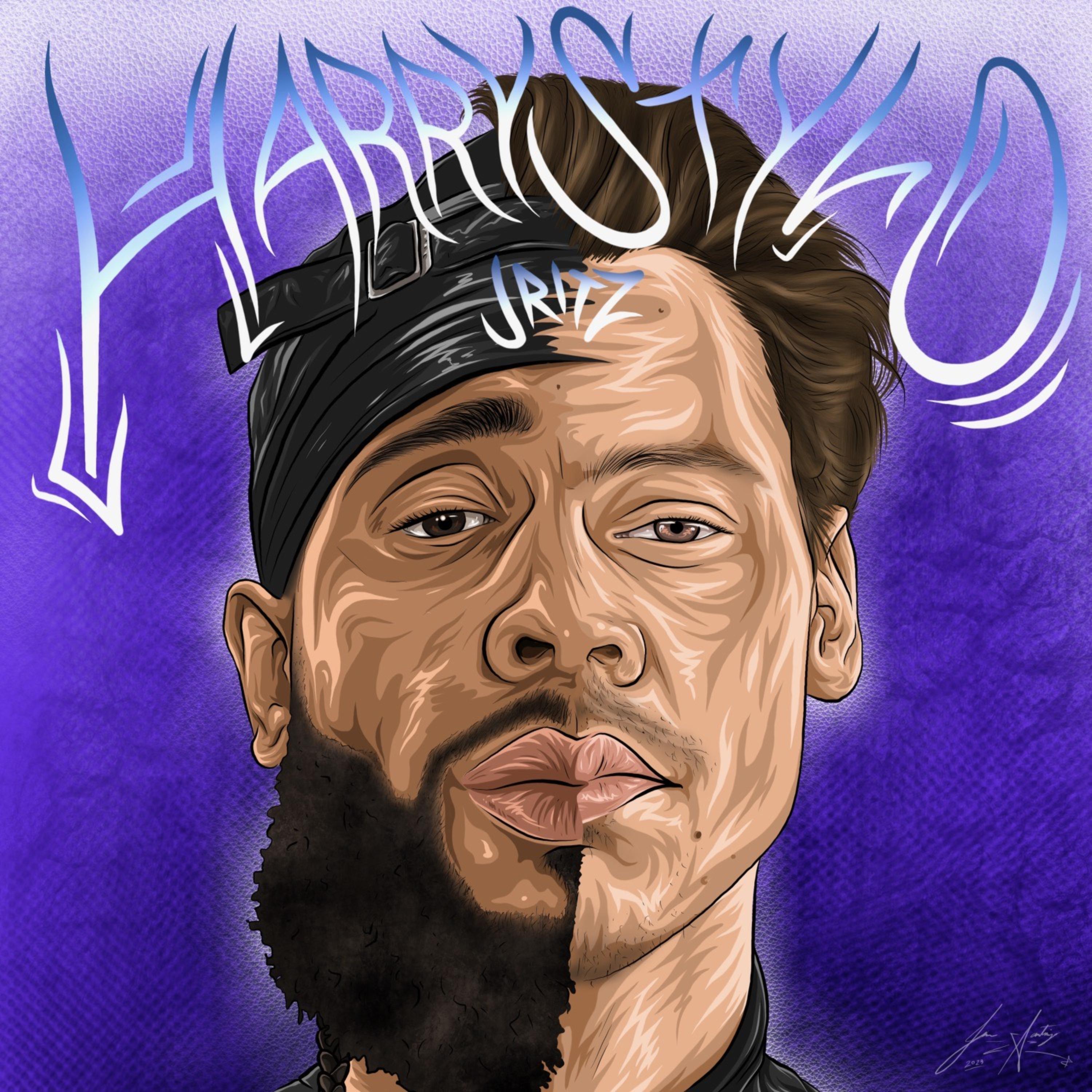 HarryStylo artwork