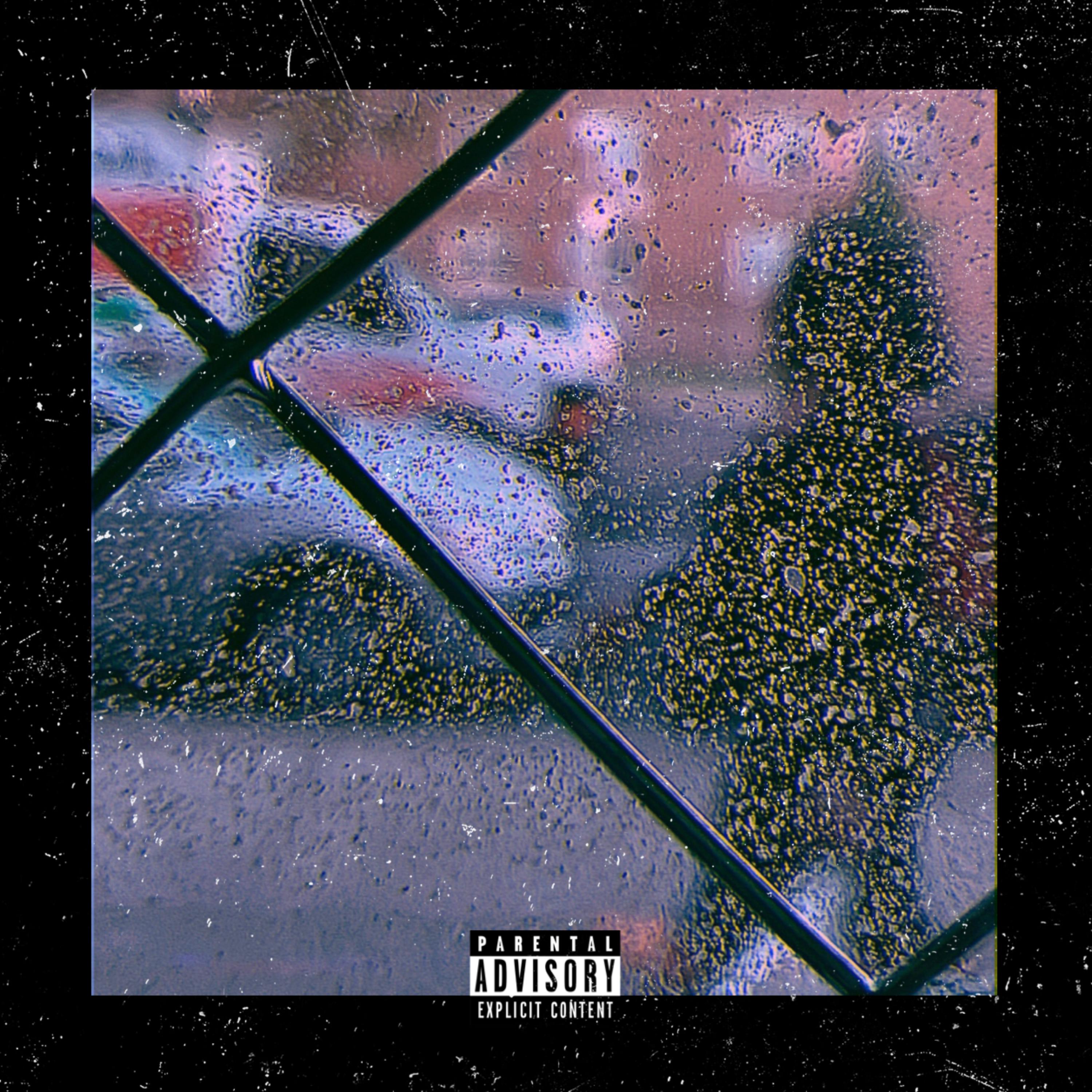 A NIGHT IN THE WILD artwork