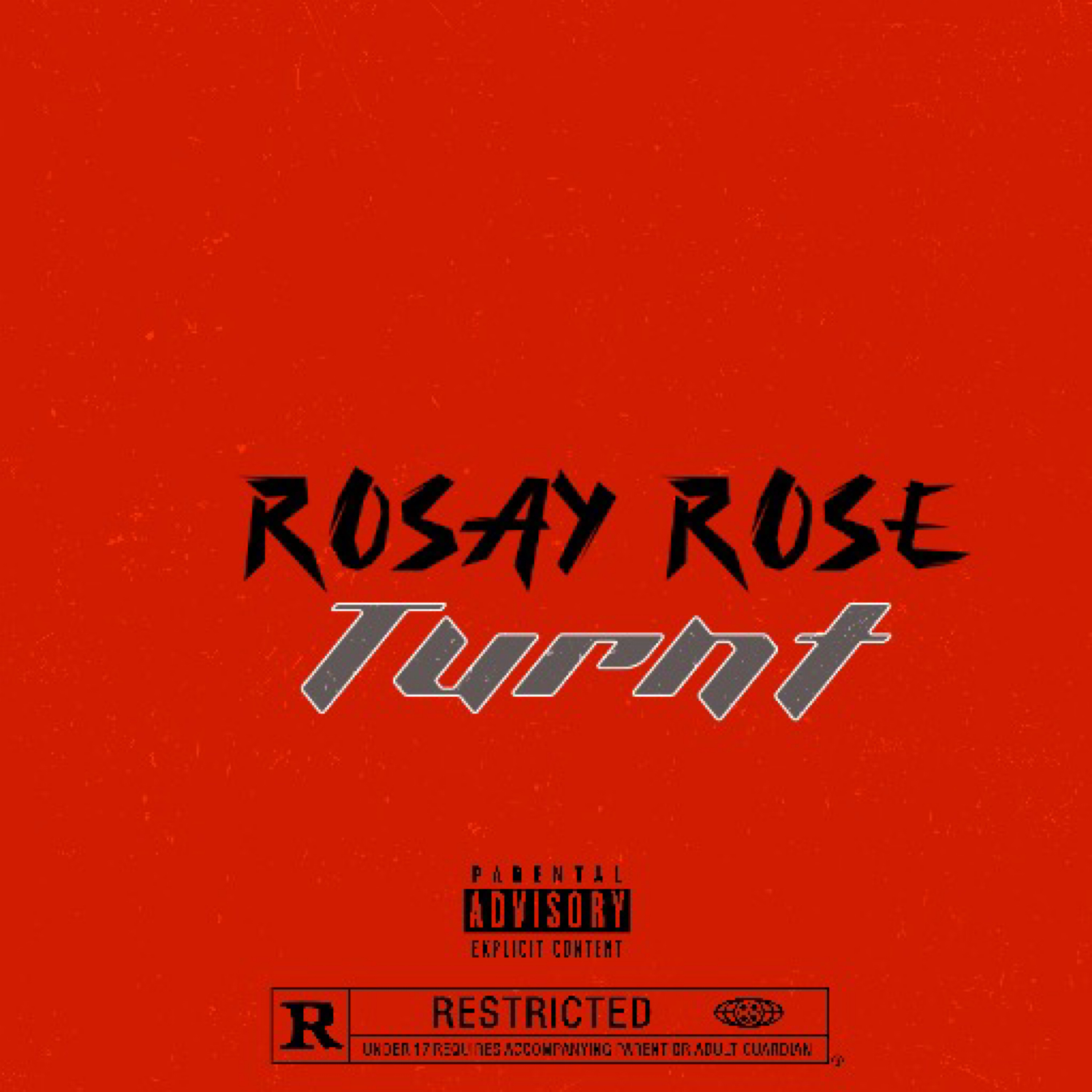 Turnt artwork