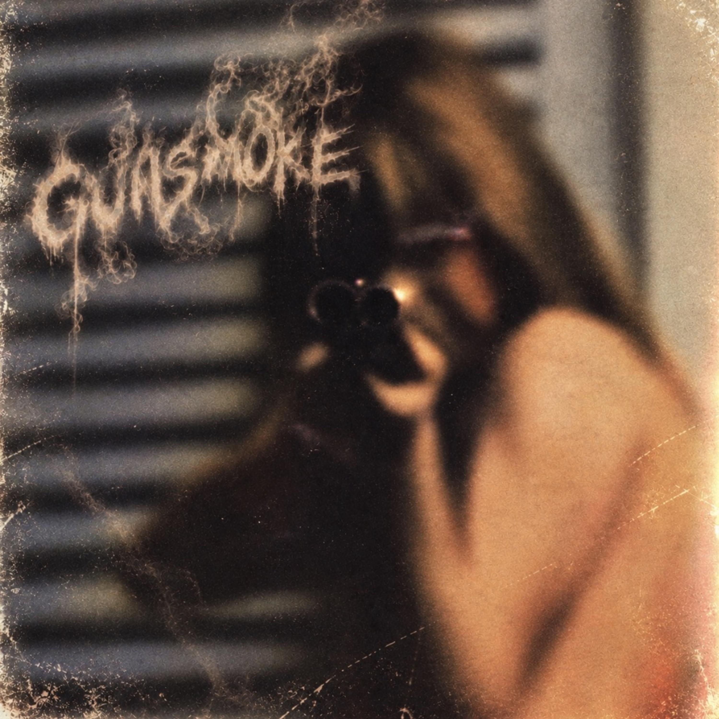 Gunsmoke by BURYDRACO cover art