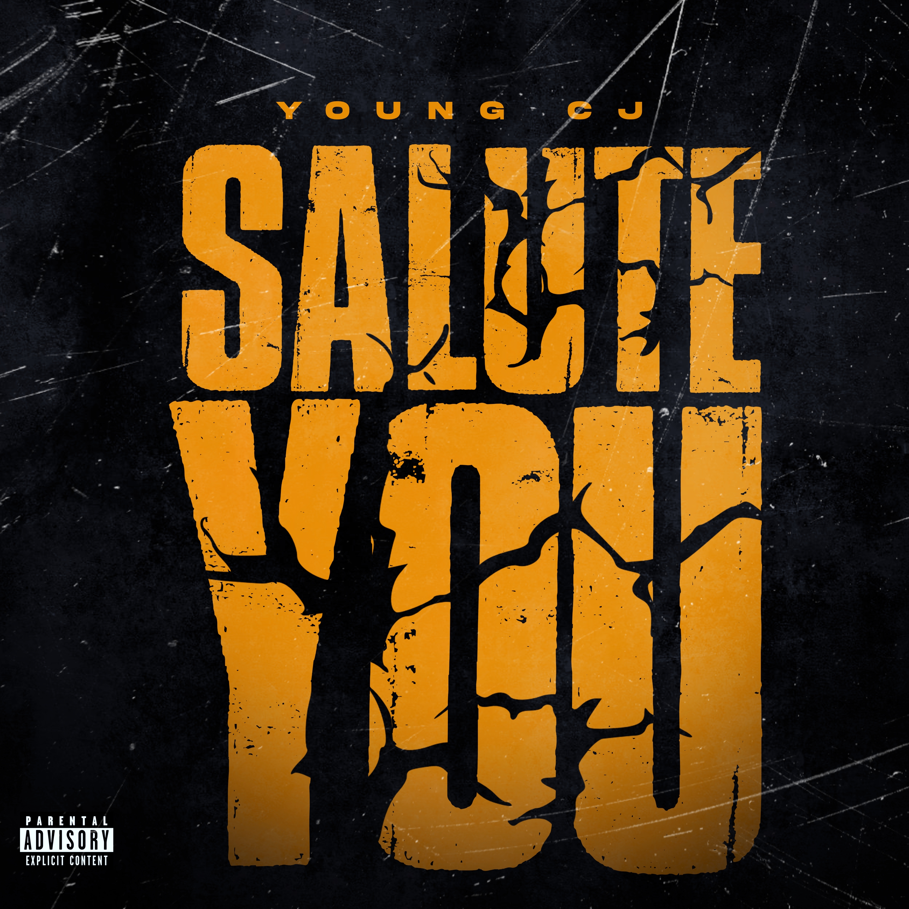 Salute You artwork