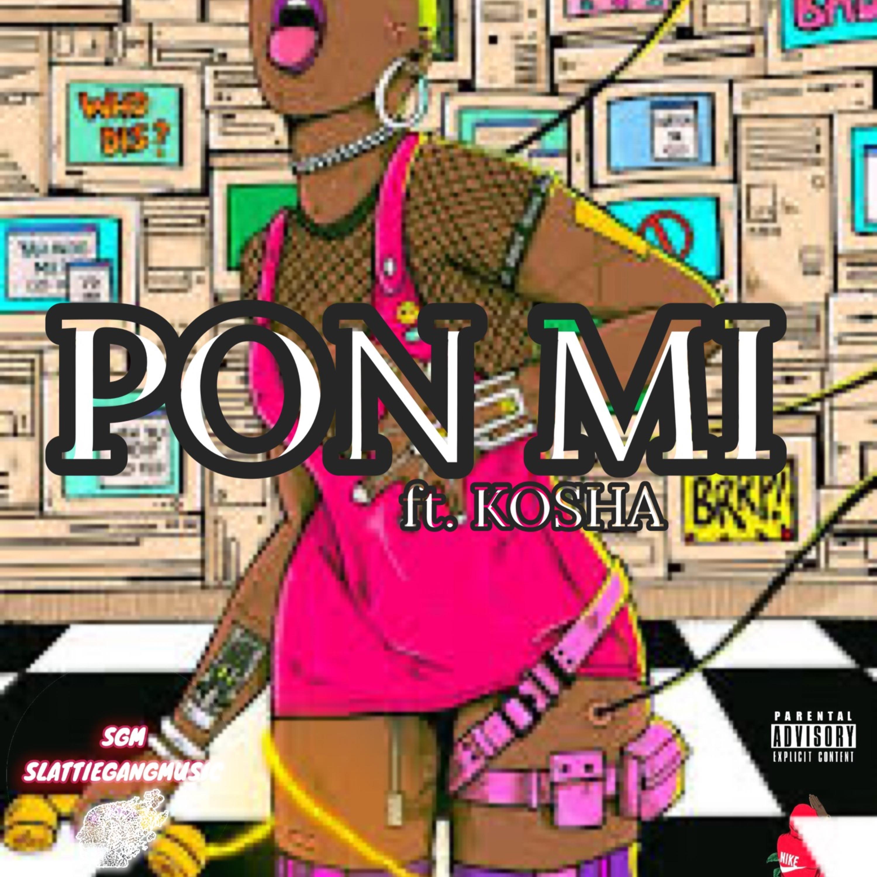 PON MI artwork
