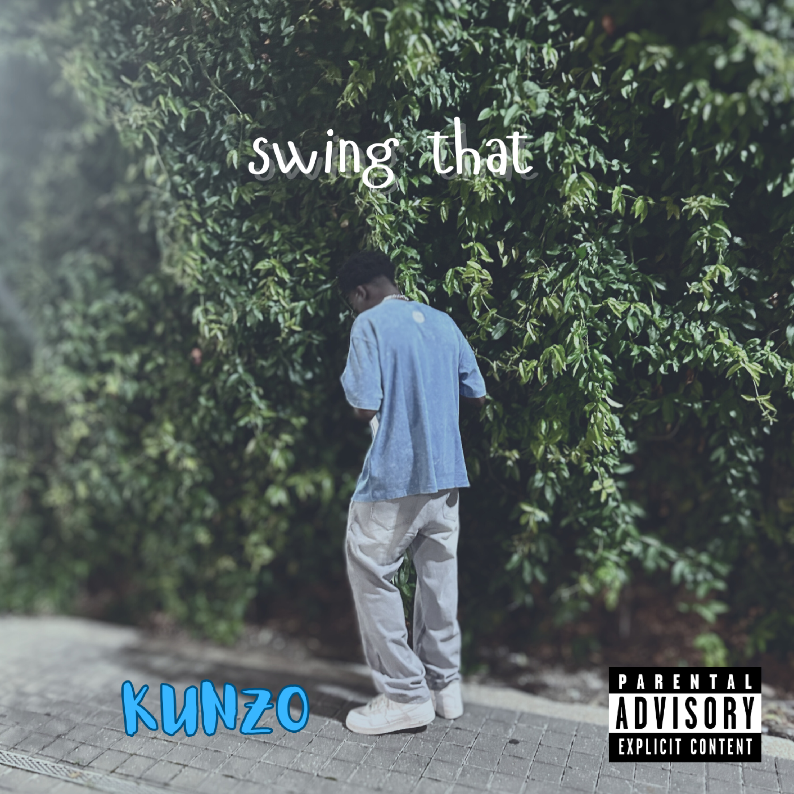 swing that artwork