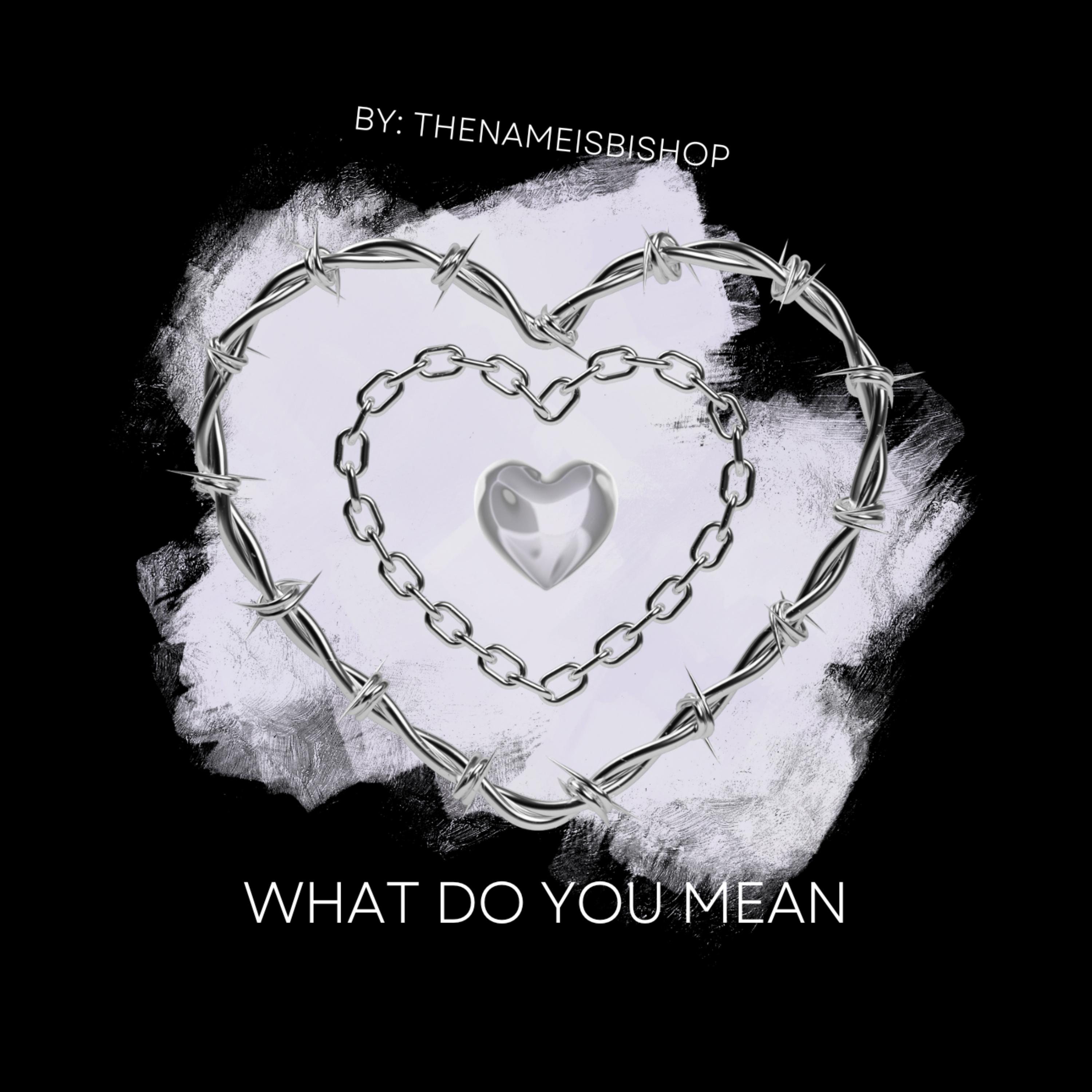 What Do You Mean artwork