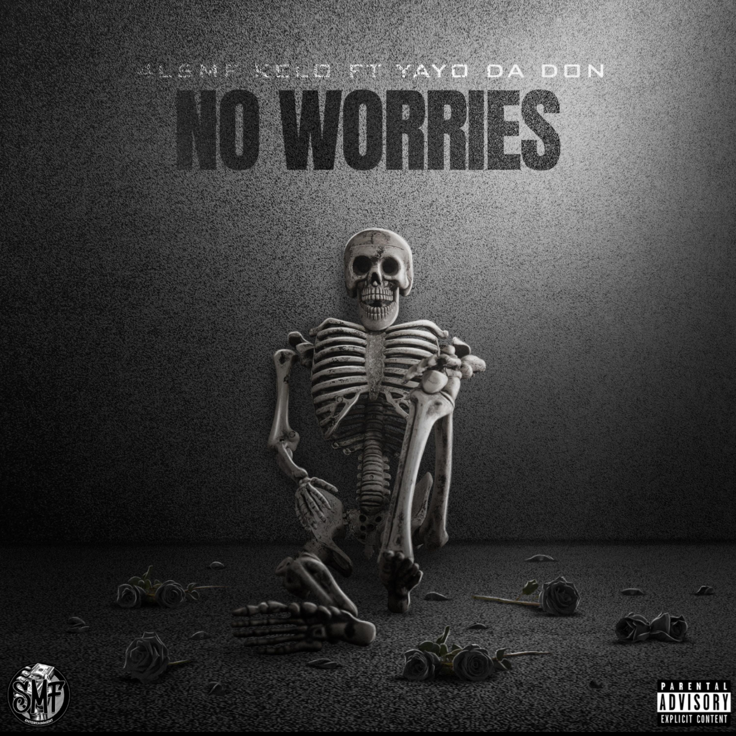 No Worries by 4LSMF Kelo cover art