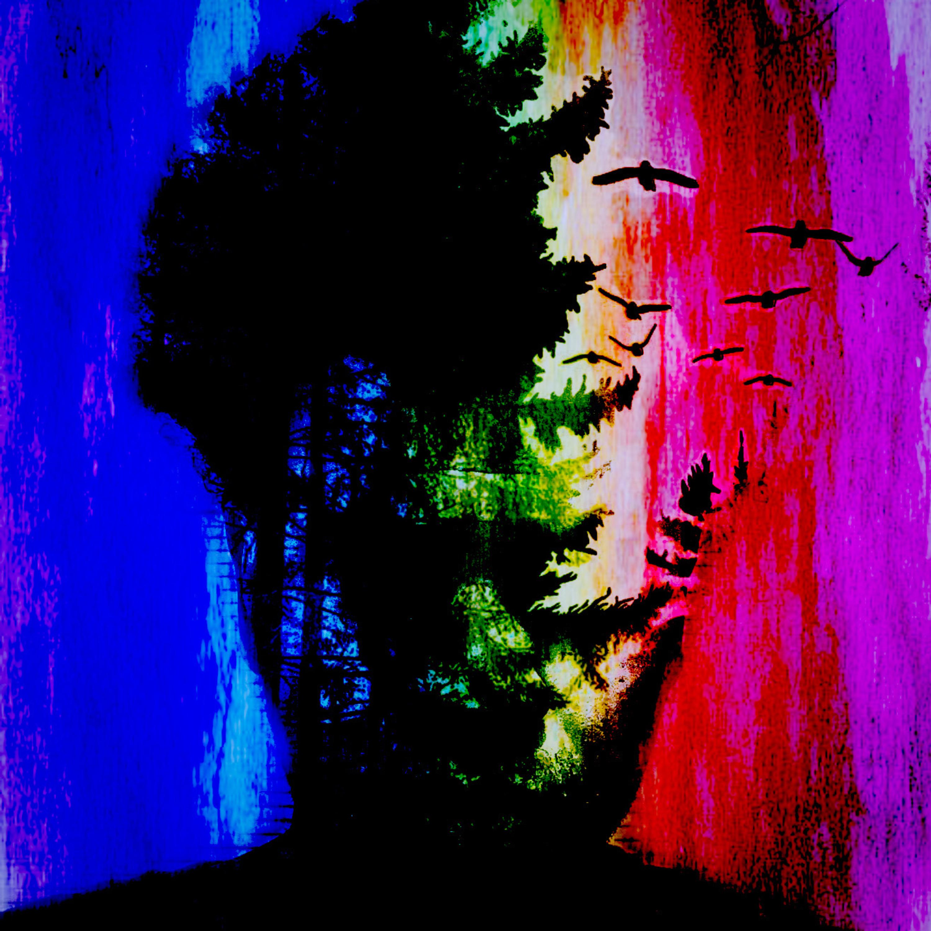 Libertad (Freedom) artwork