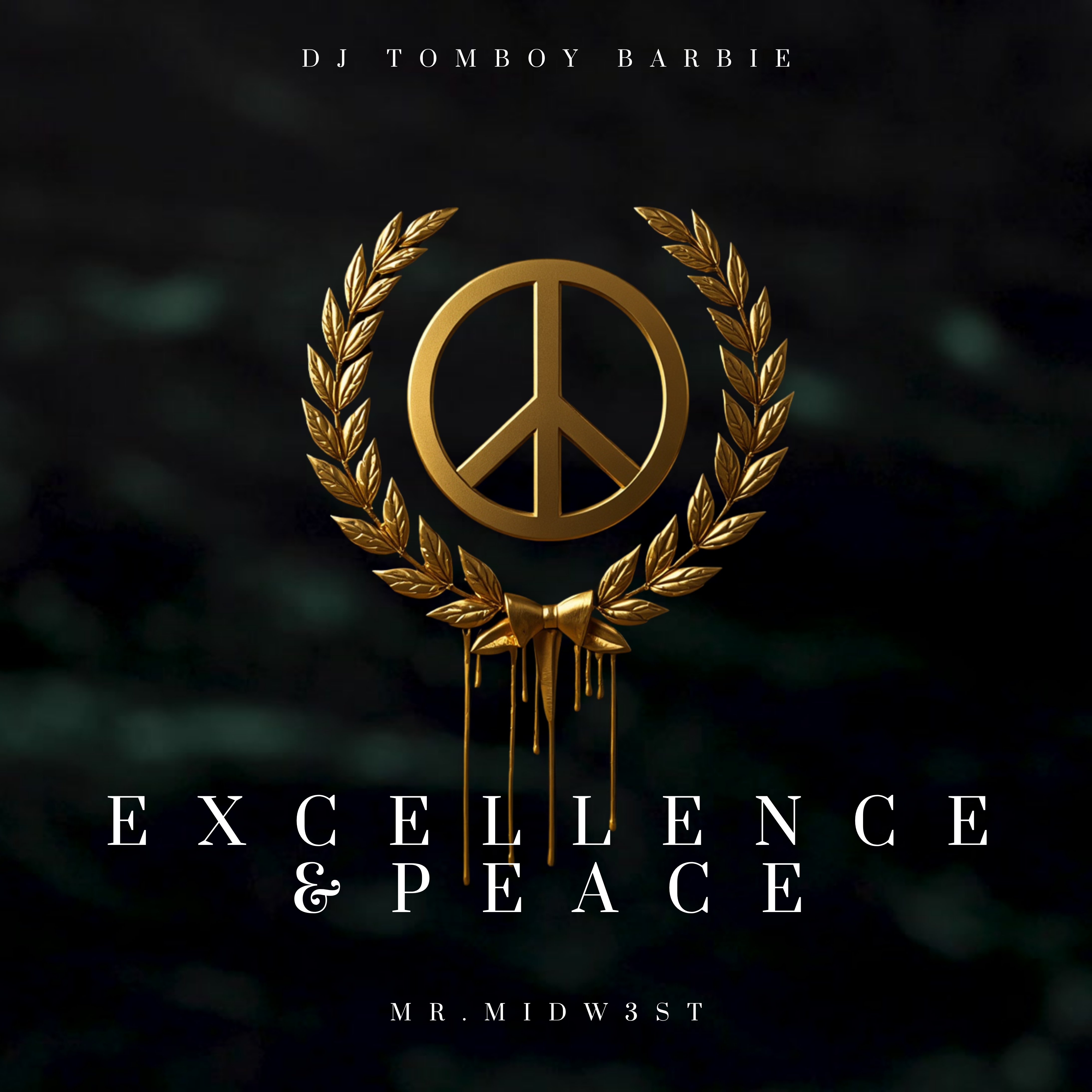 Excellence & Peace by Mr. Midw3st cover art