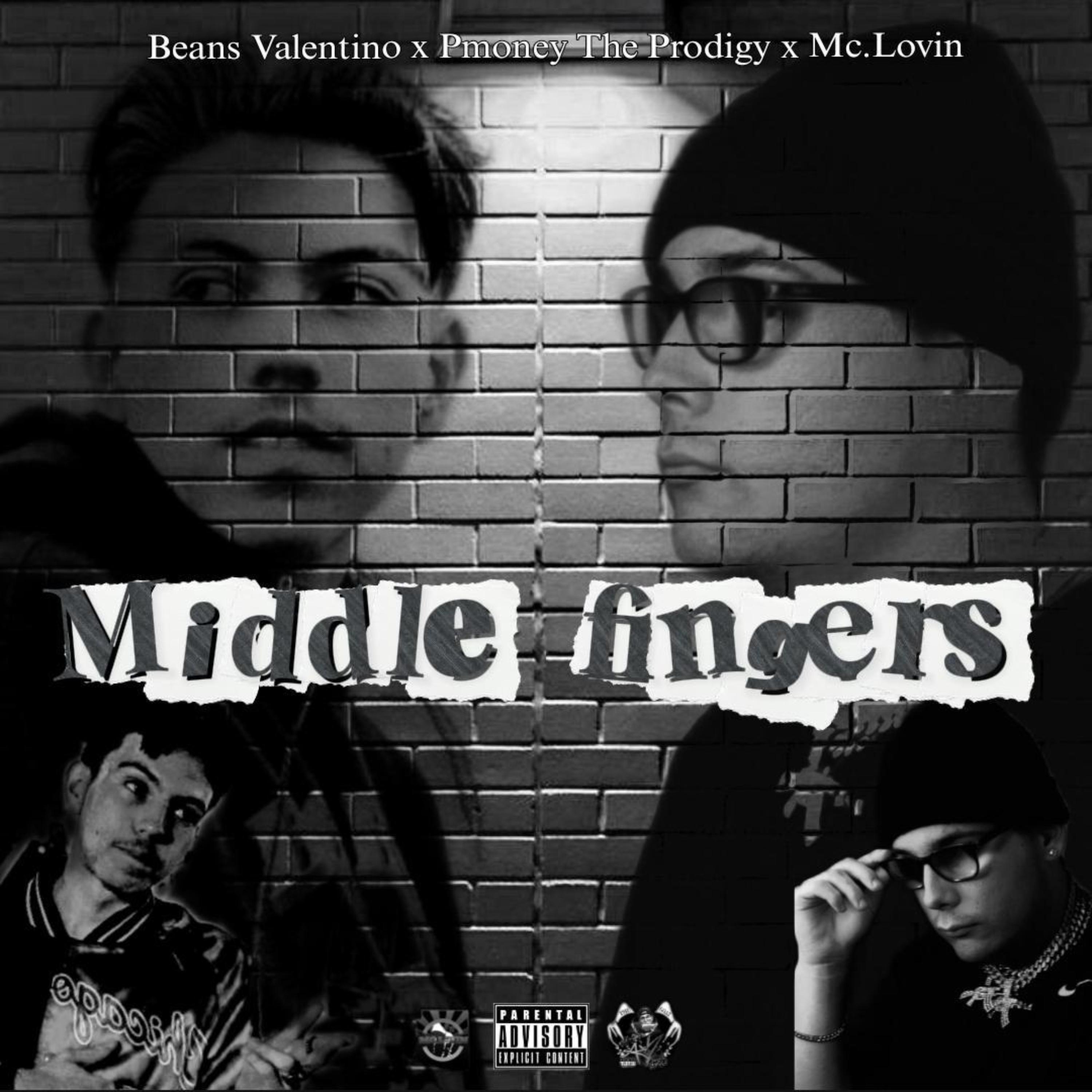Middle fingers artwork