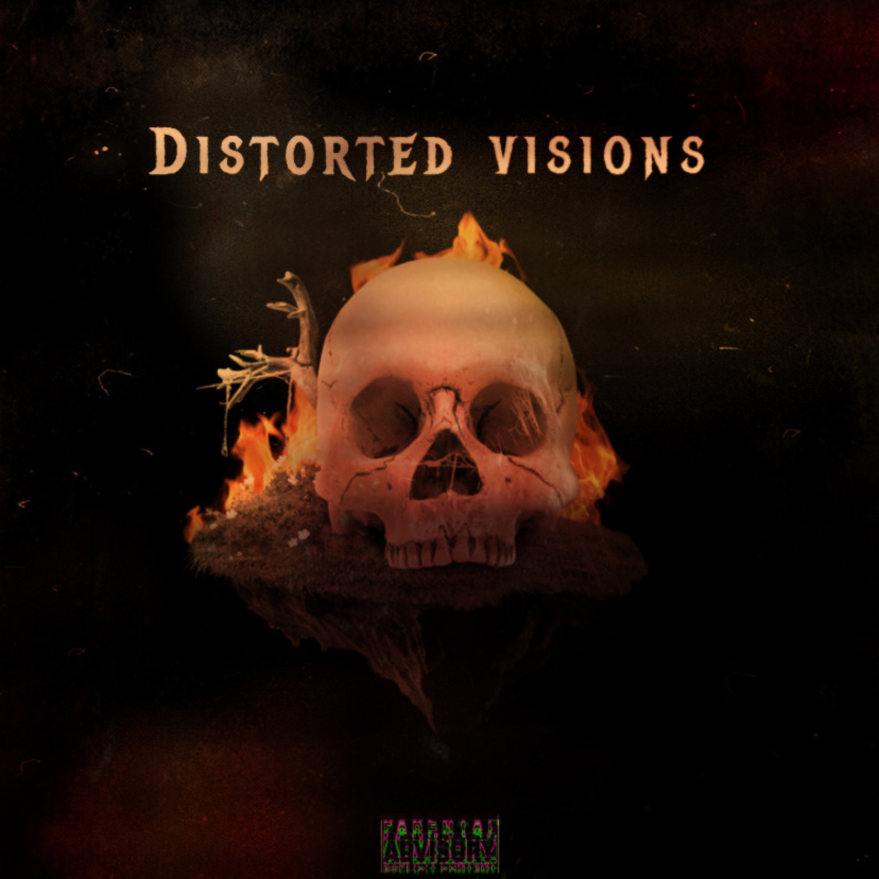 Distorted Visions artwork