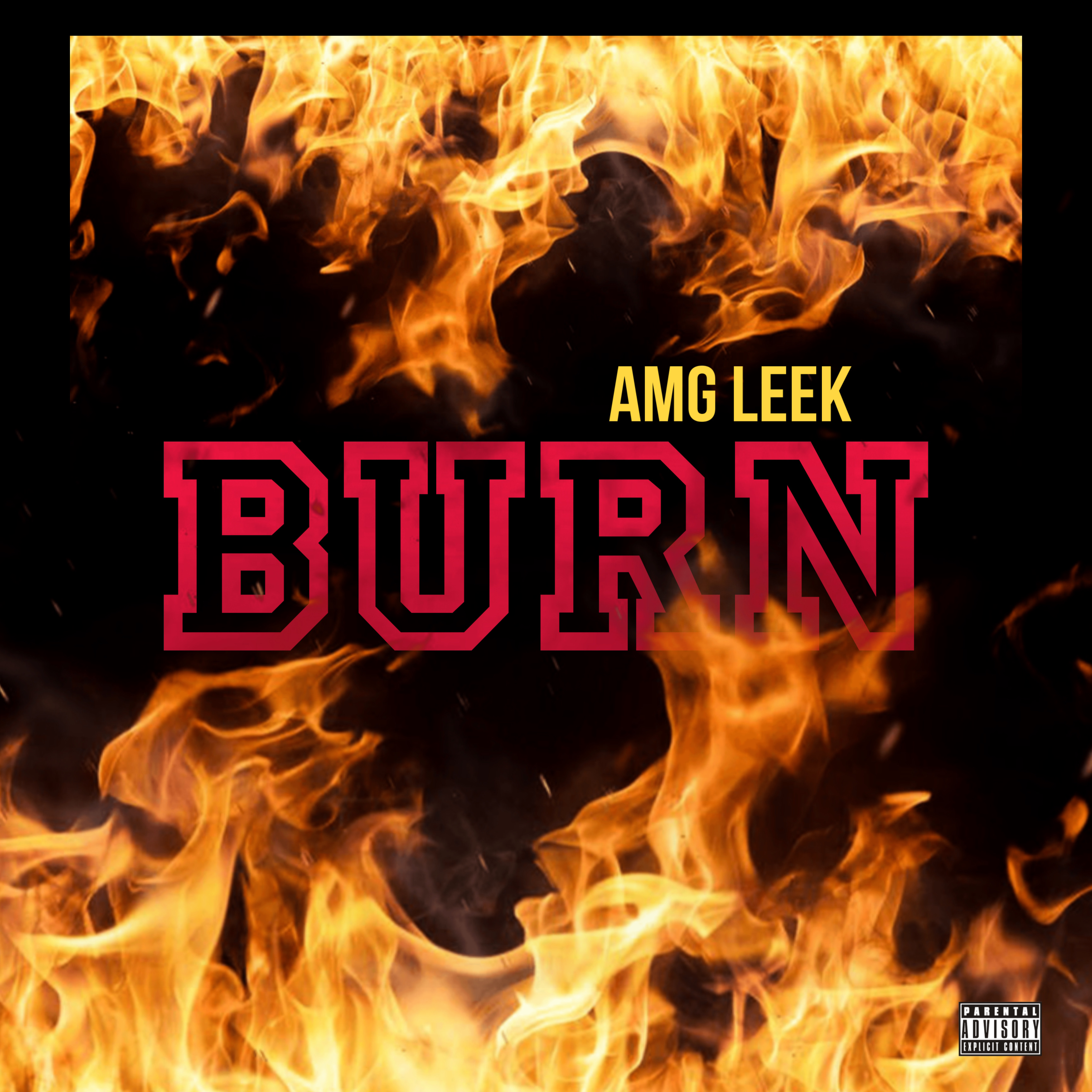 Burn artwork