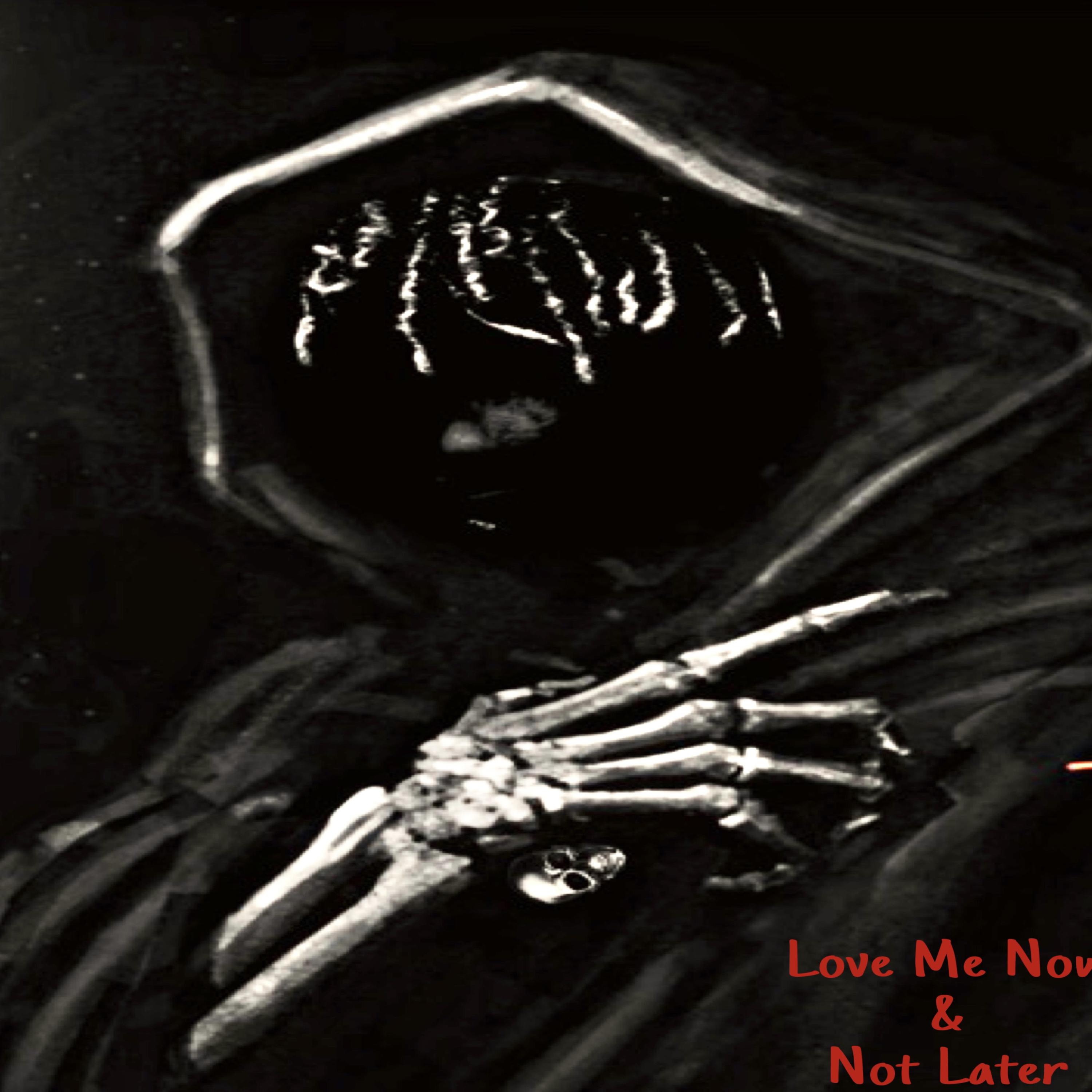 Love Me Now & Not Later artwork