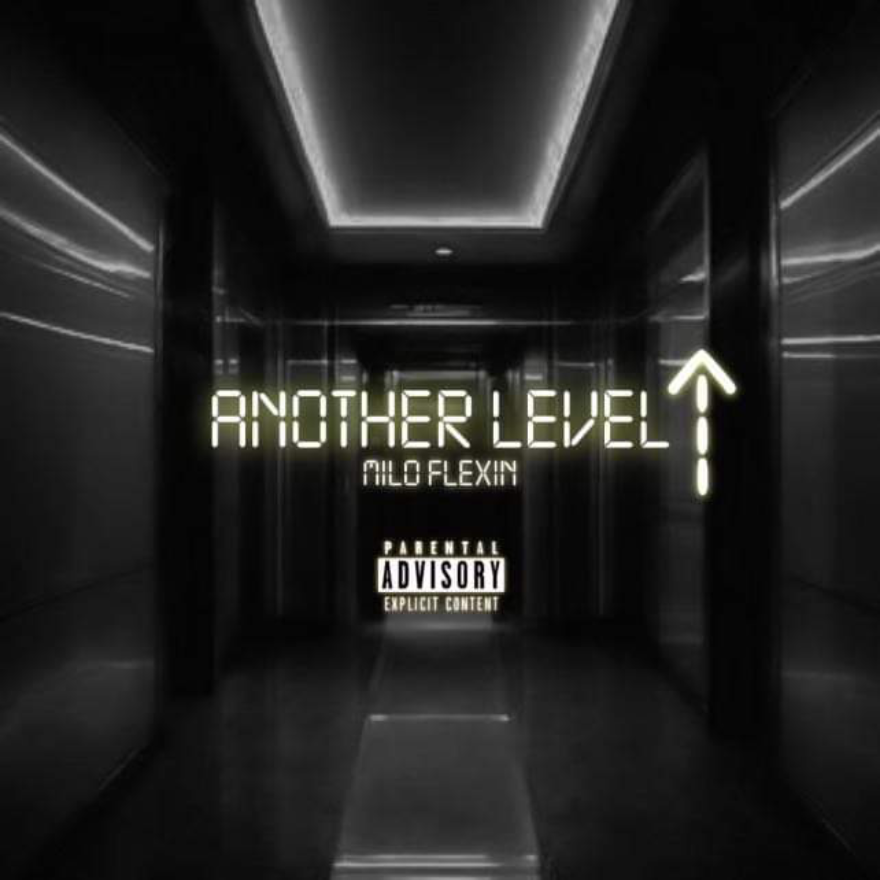 Another Level artwork