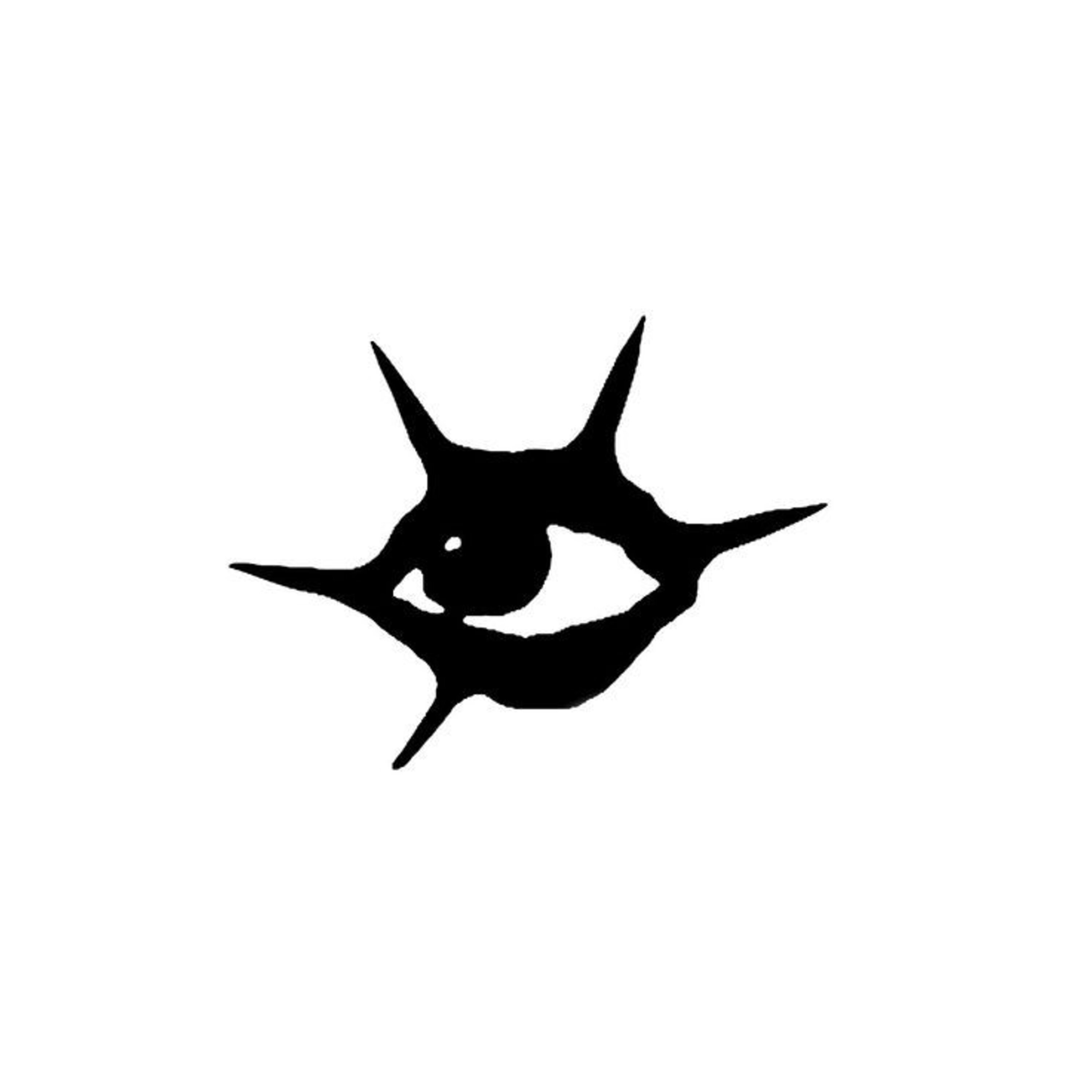 2Fast artwork