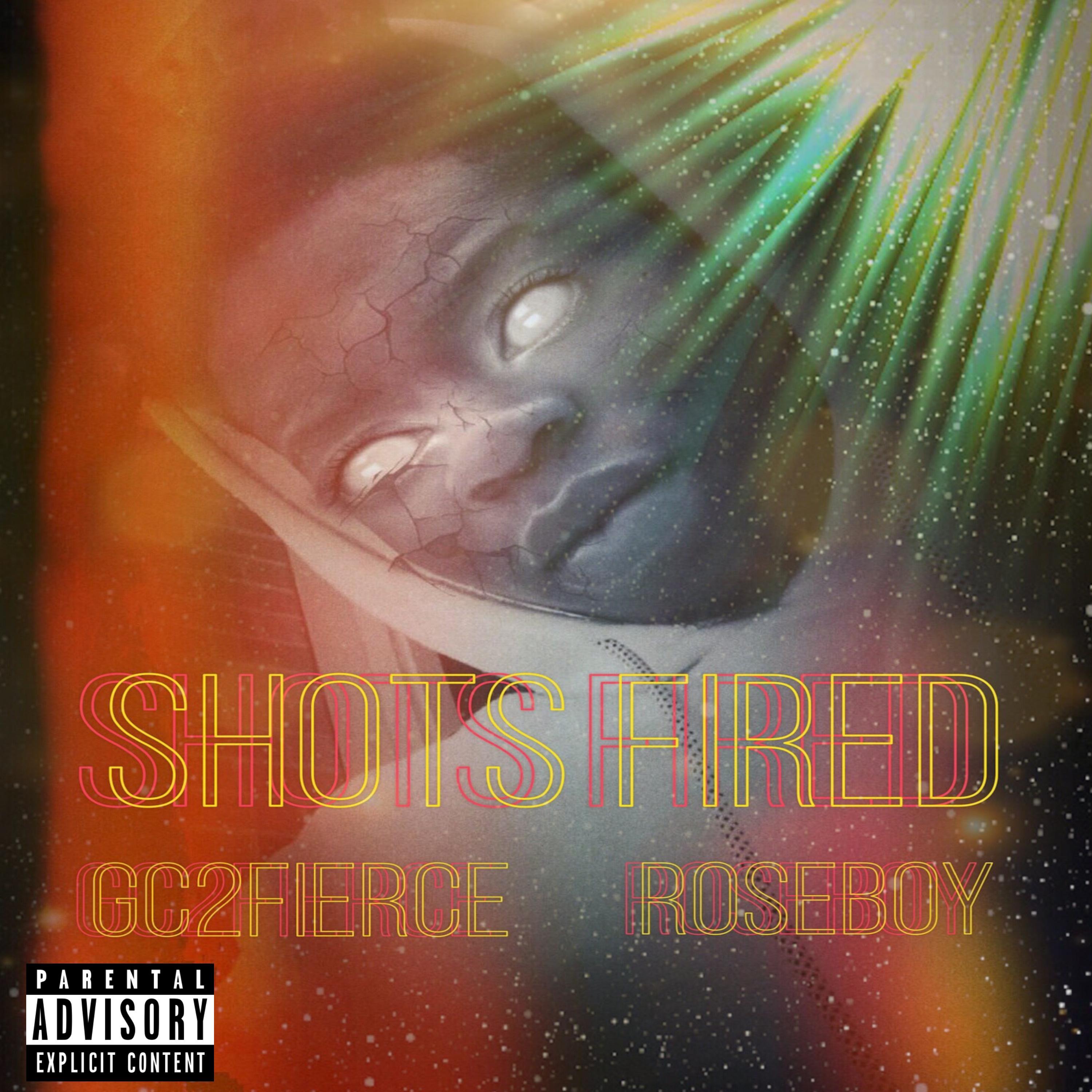 Shots Fired artwork