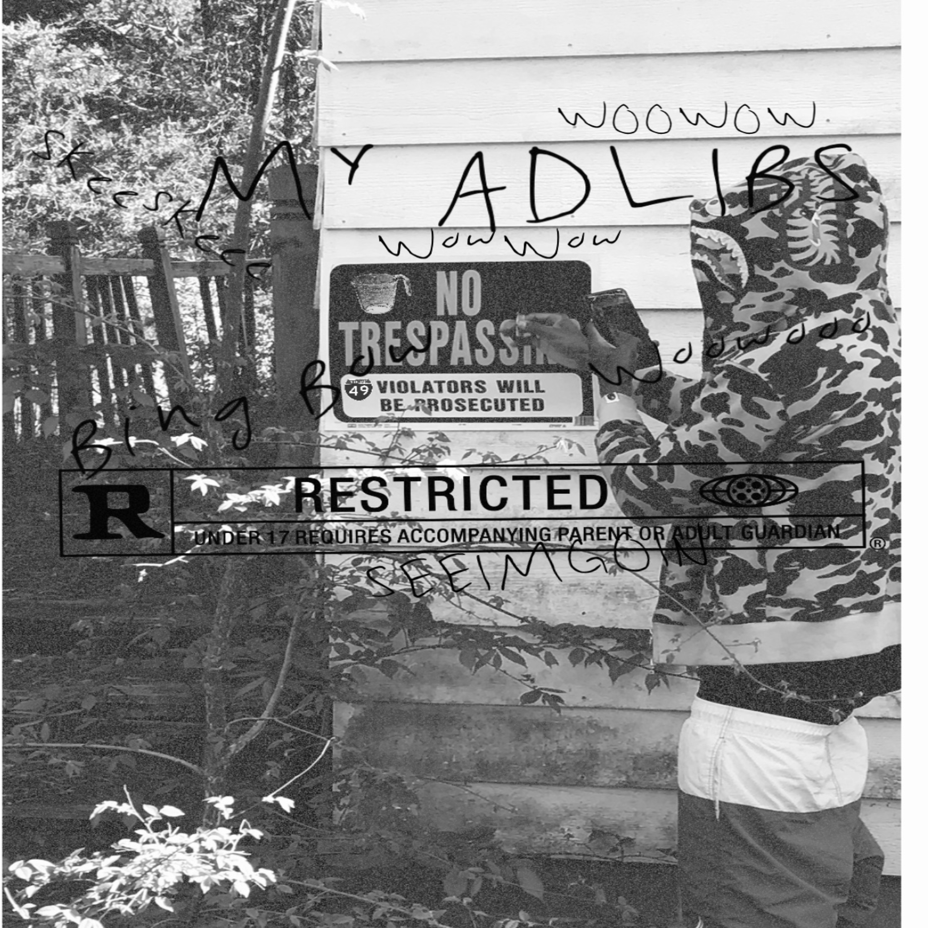 MY ADLIBS artwork