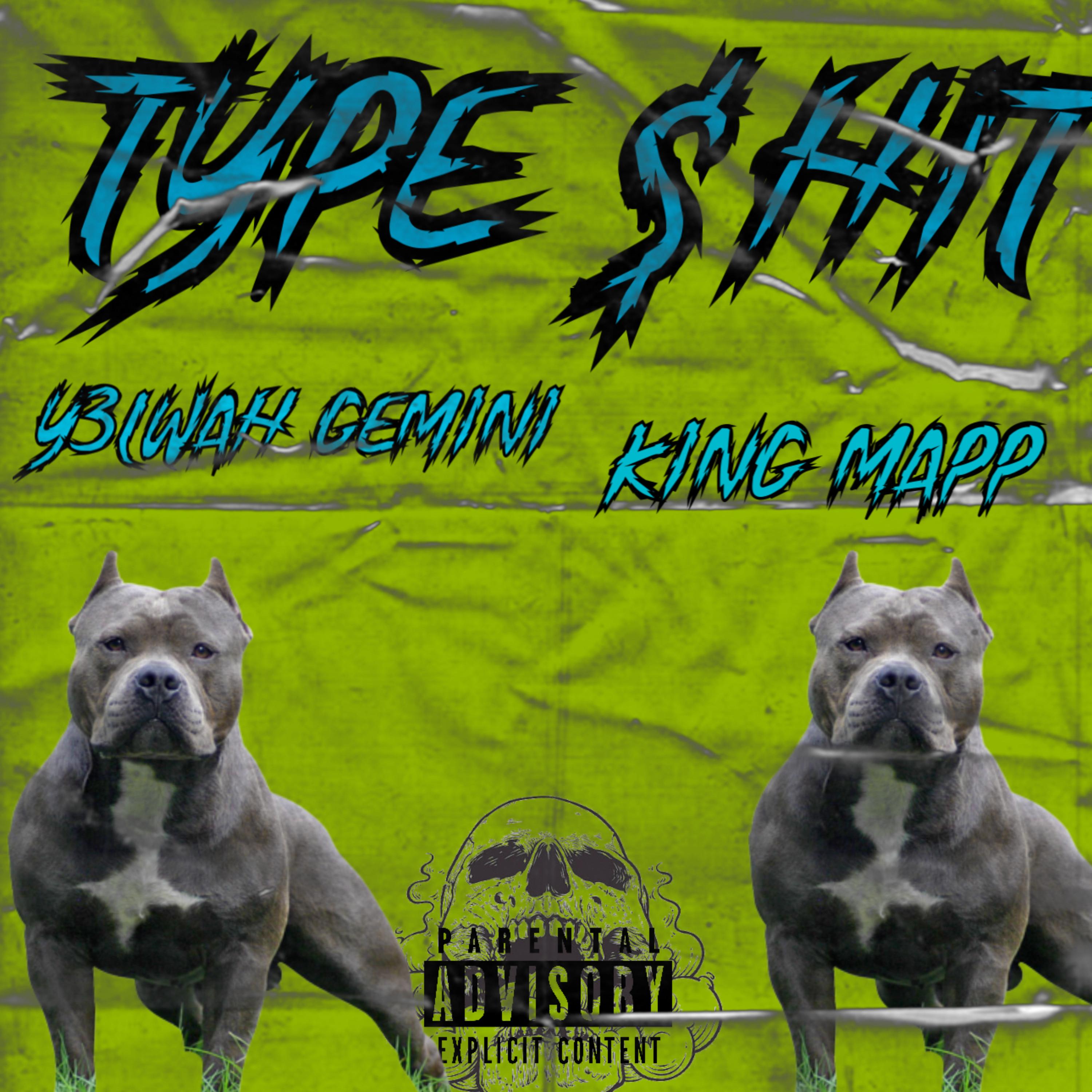 Type $hit artwork