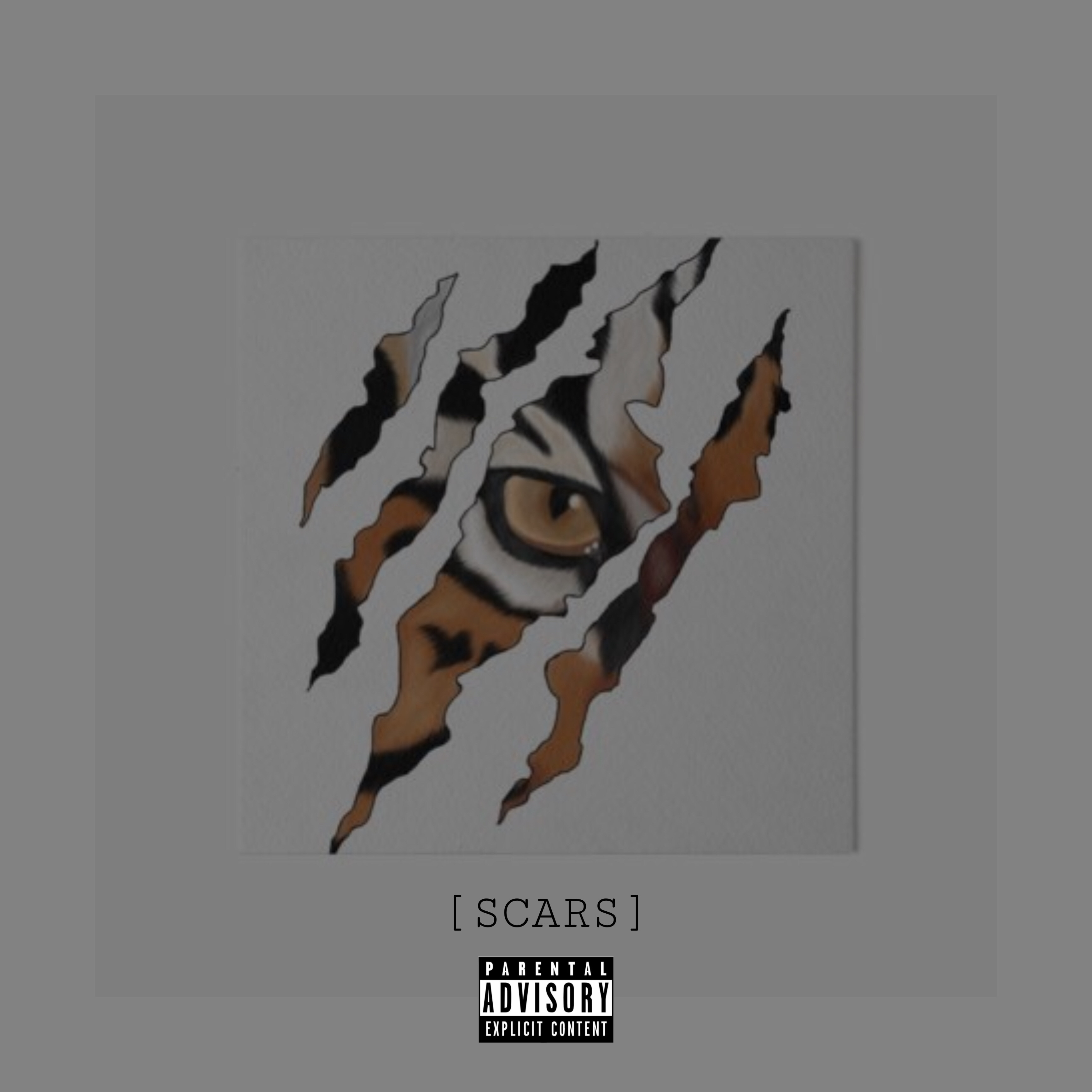 Scars artwork