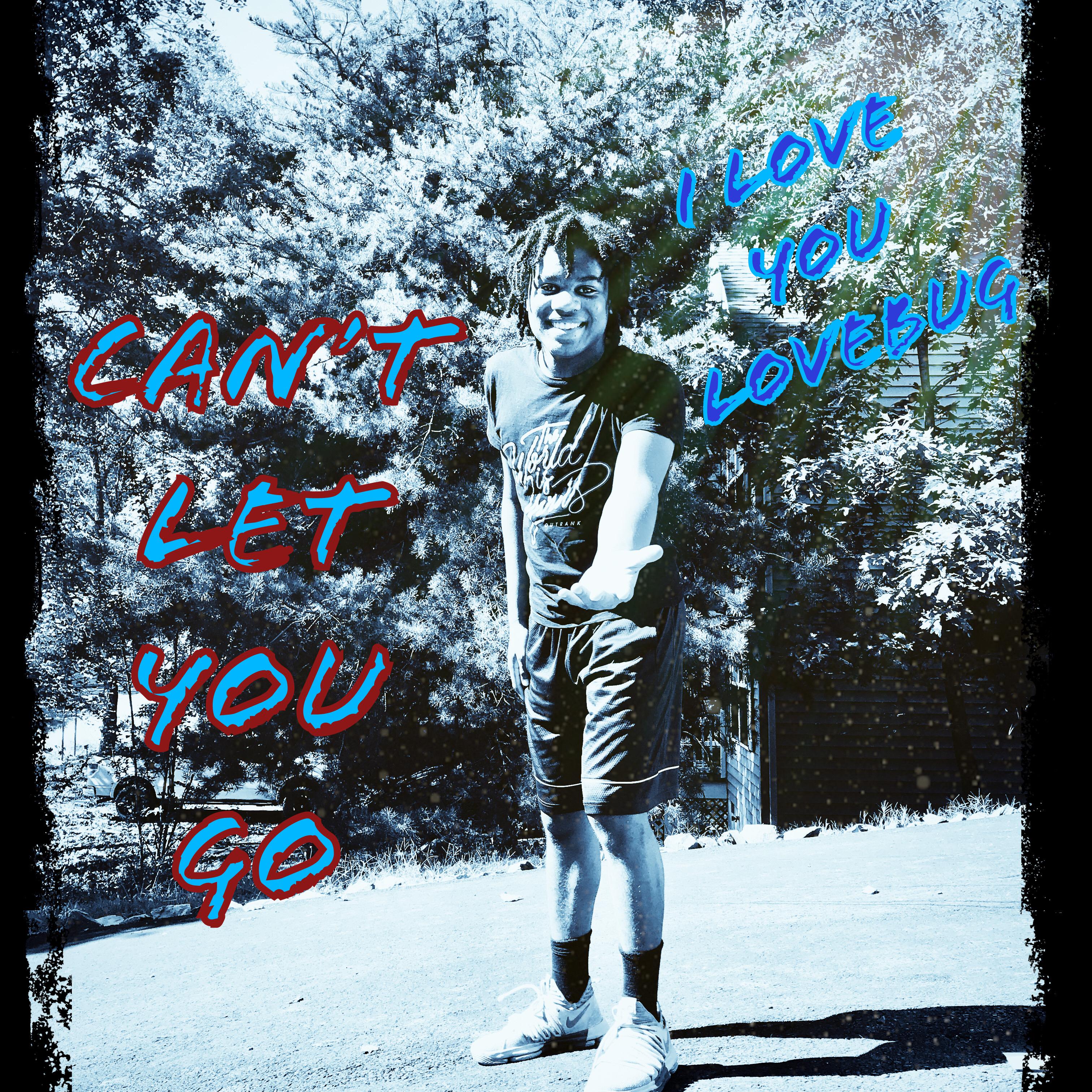 Can't Let You Go artwork