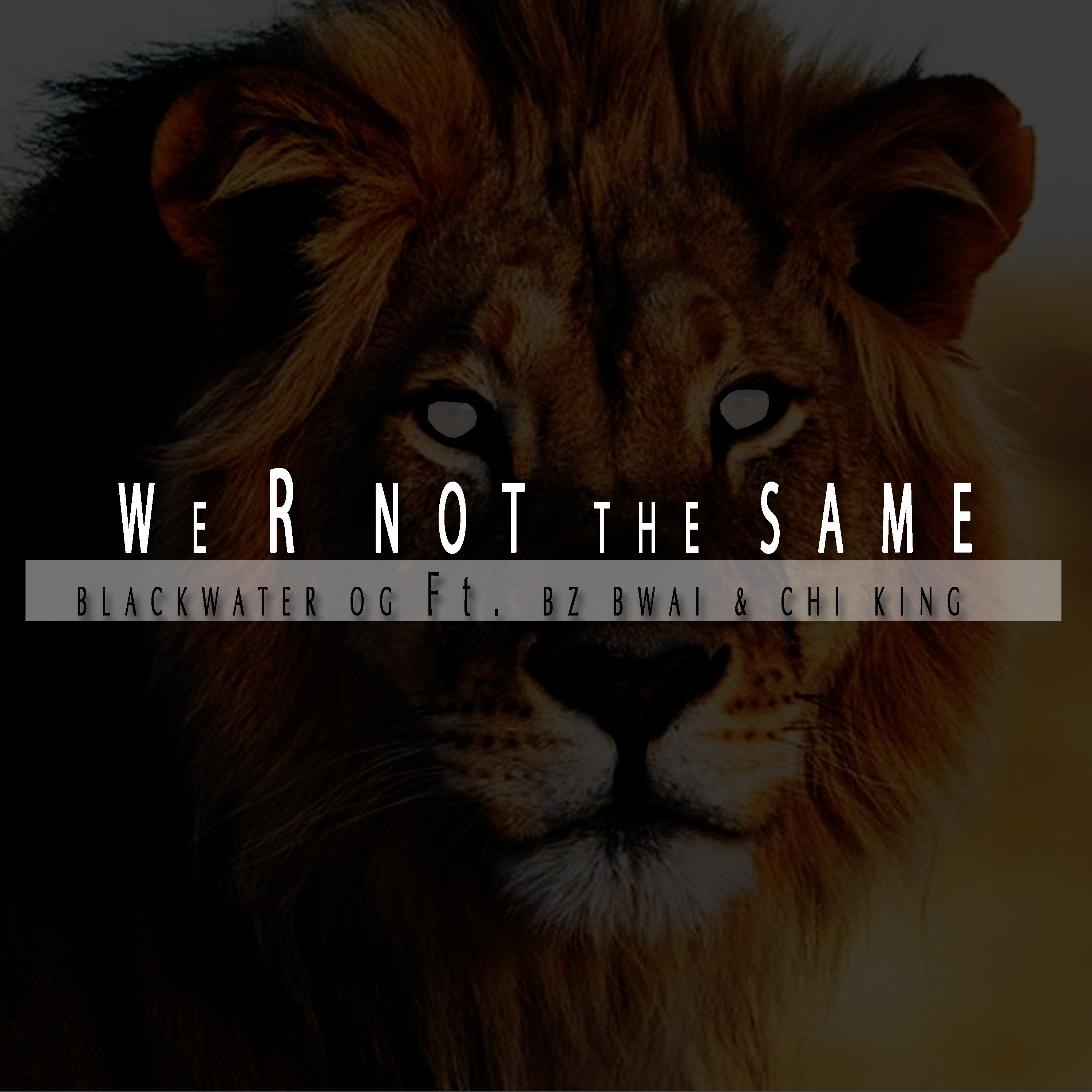 We R Not The Same artwork
