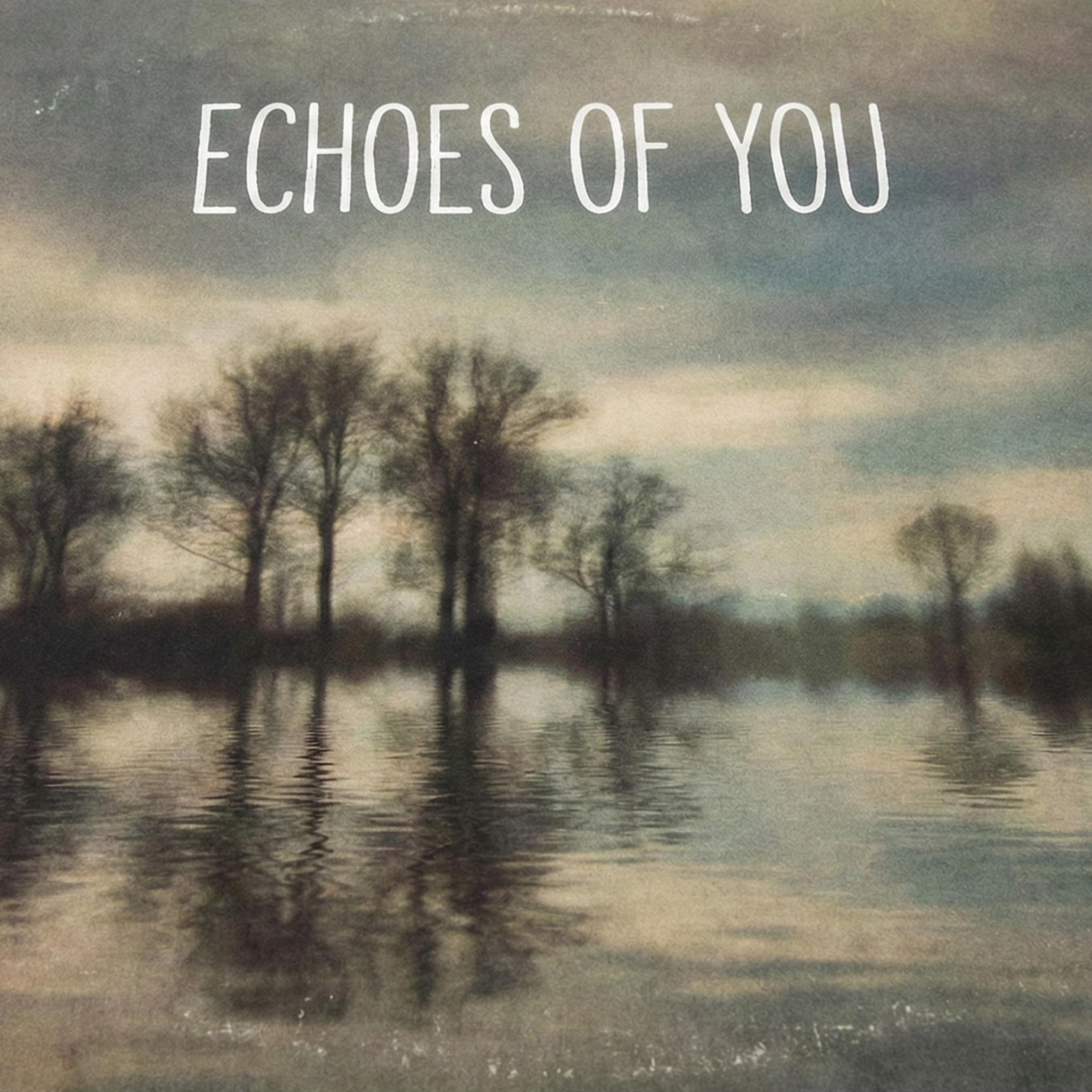 Echoes of you artwork