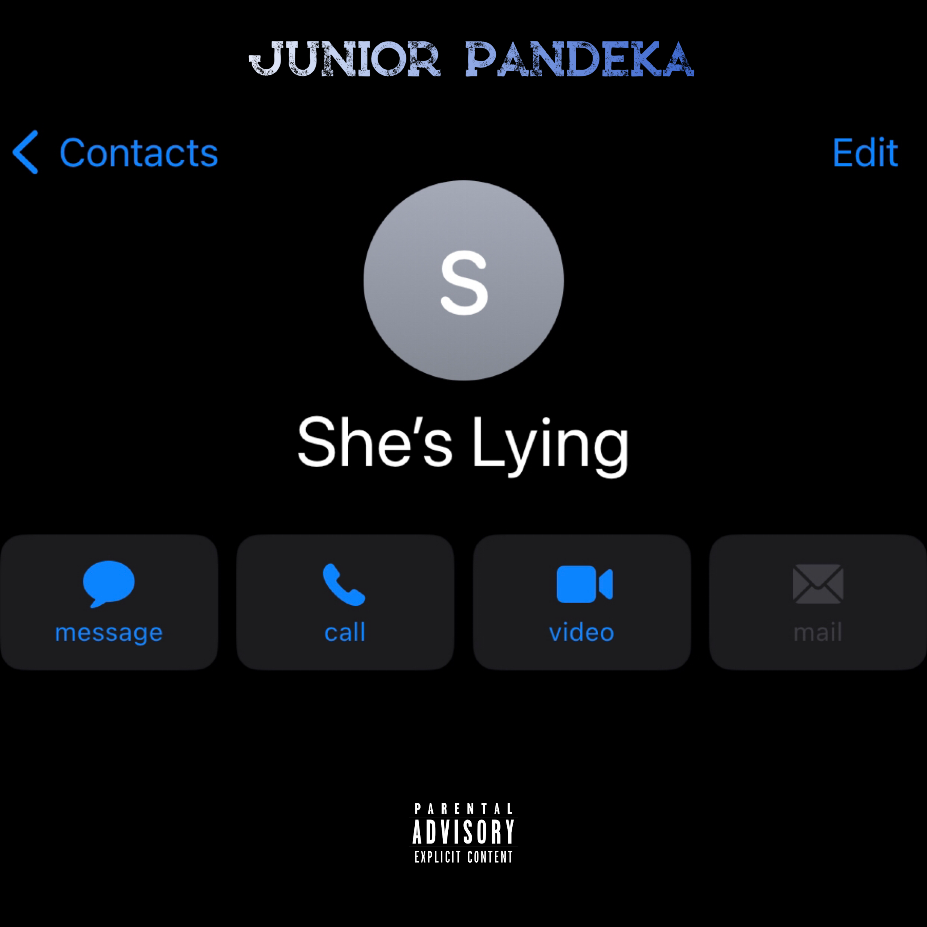 She’s Lying by JUNIOR PANDEKA cover art