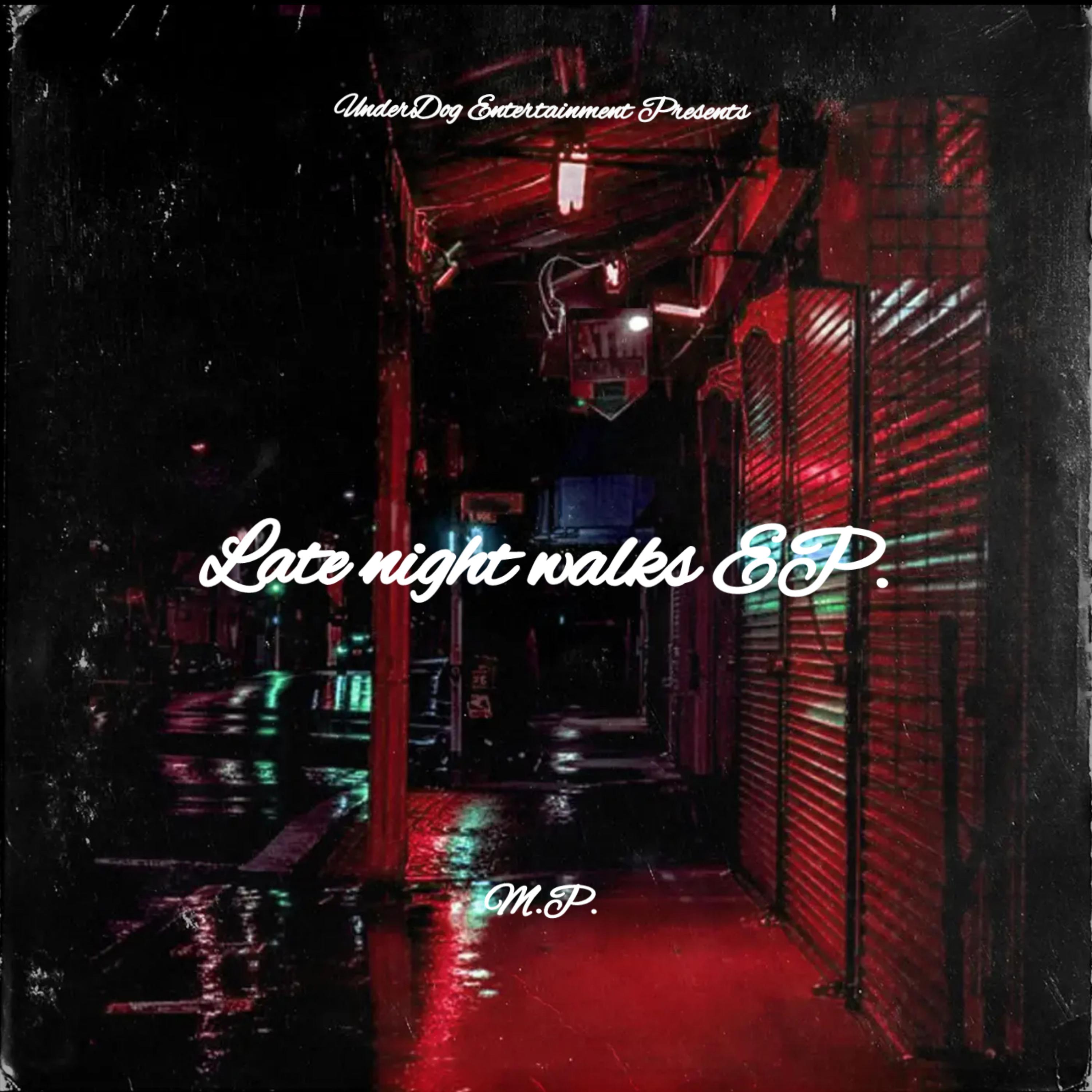 Late night walks  artwork