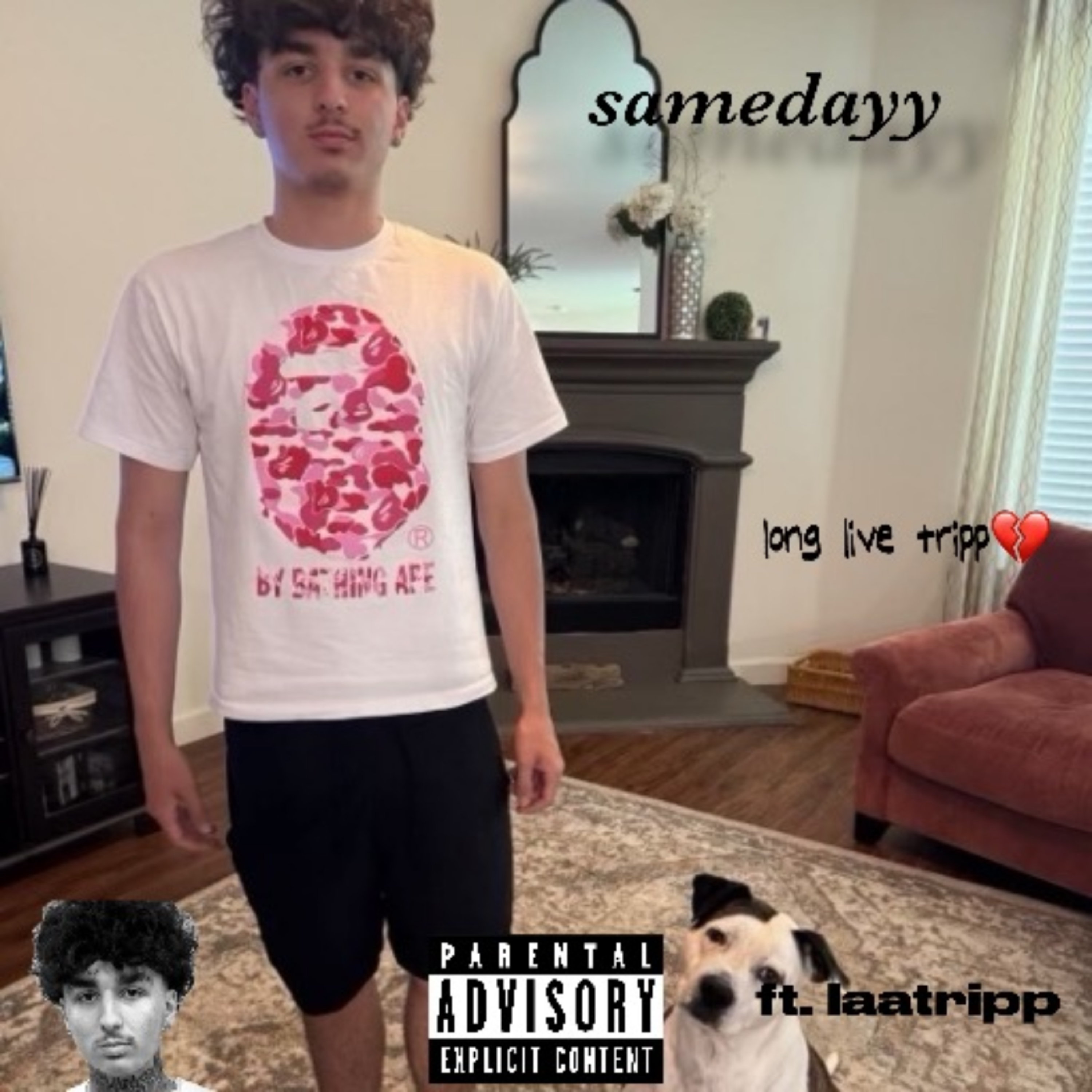 samedayy #LLTRIPP artwork