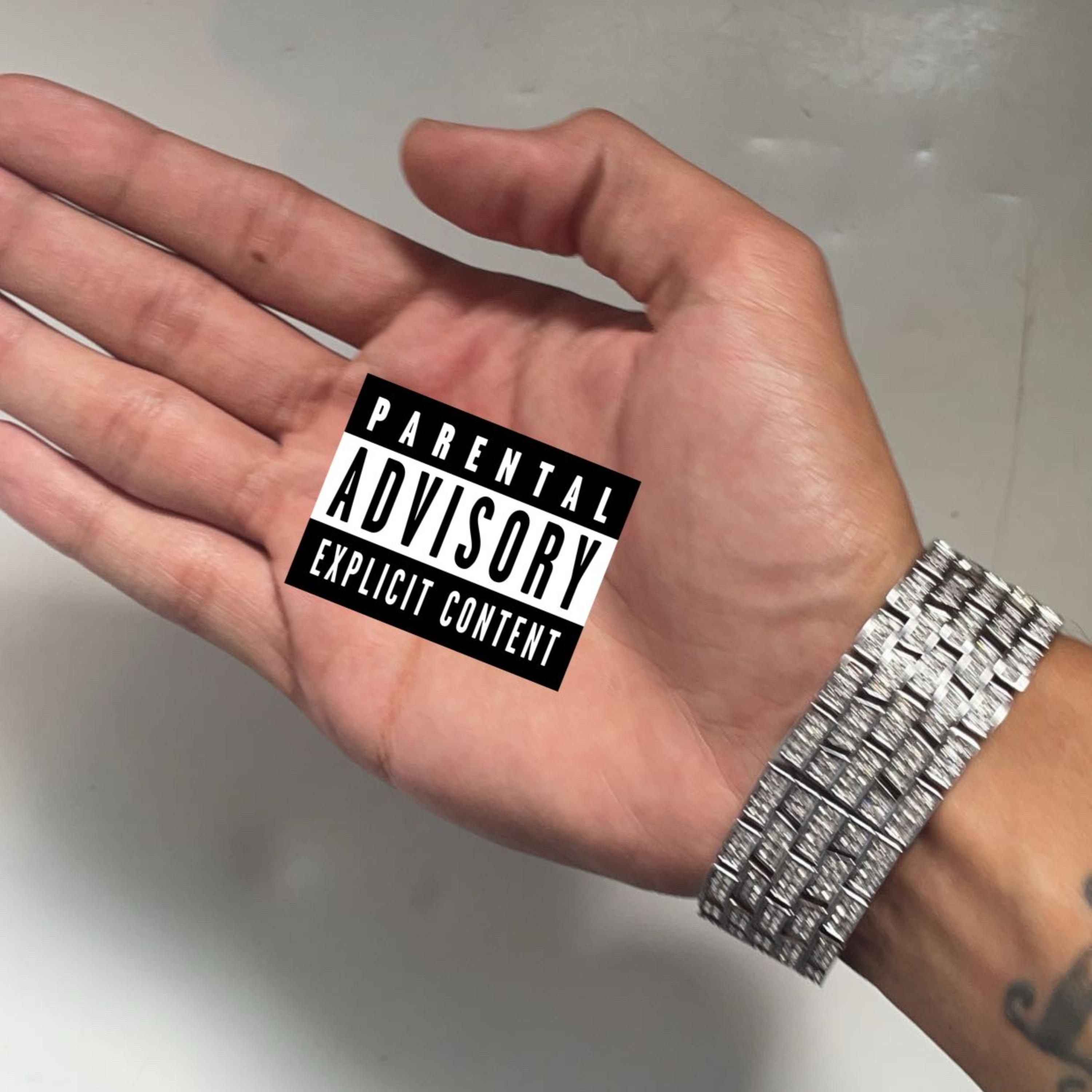 X Game Ba$tard / GTA X artwork