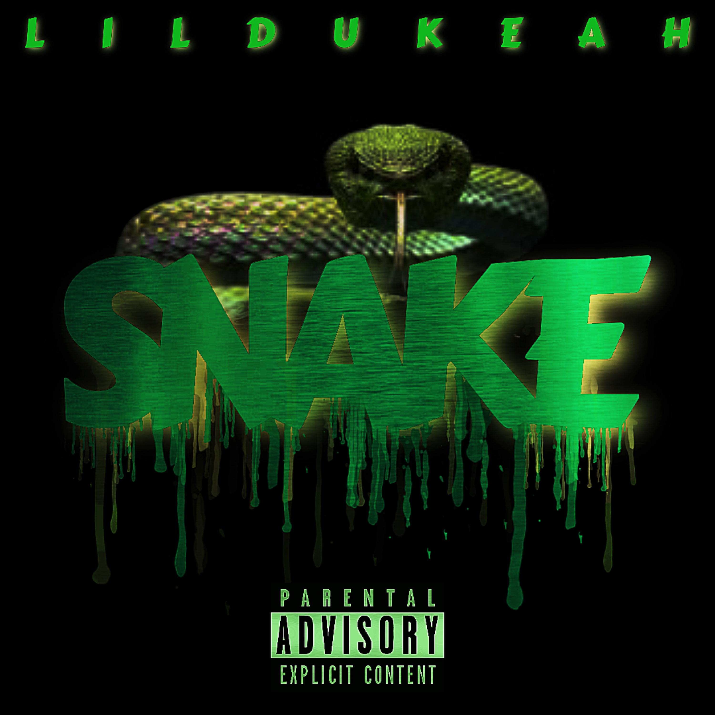 SNAKE artwork