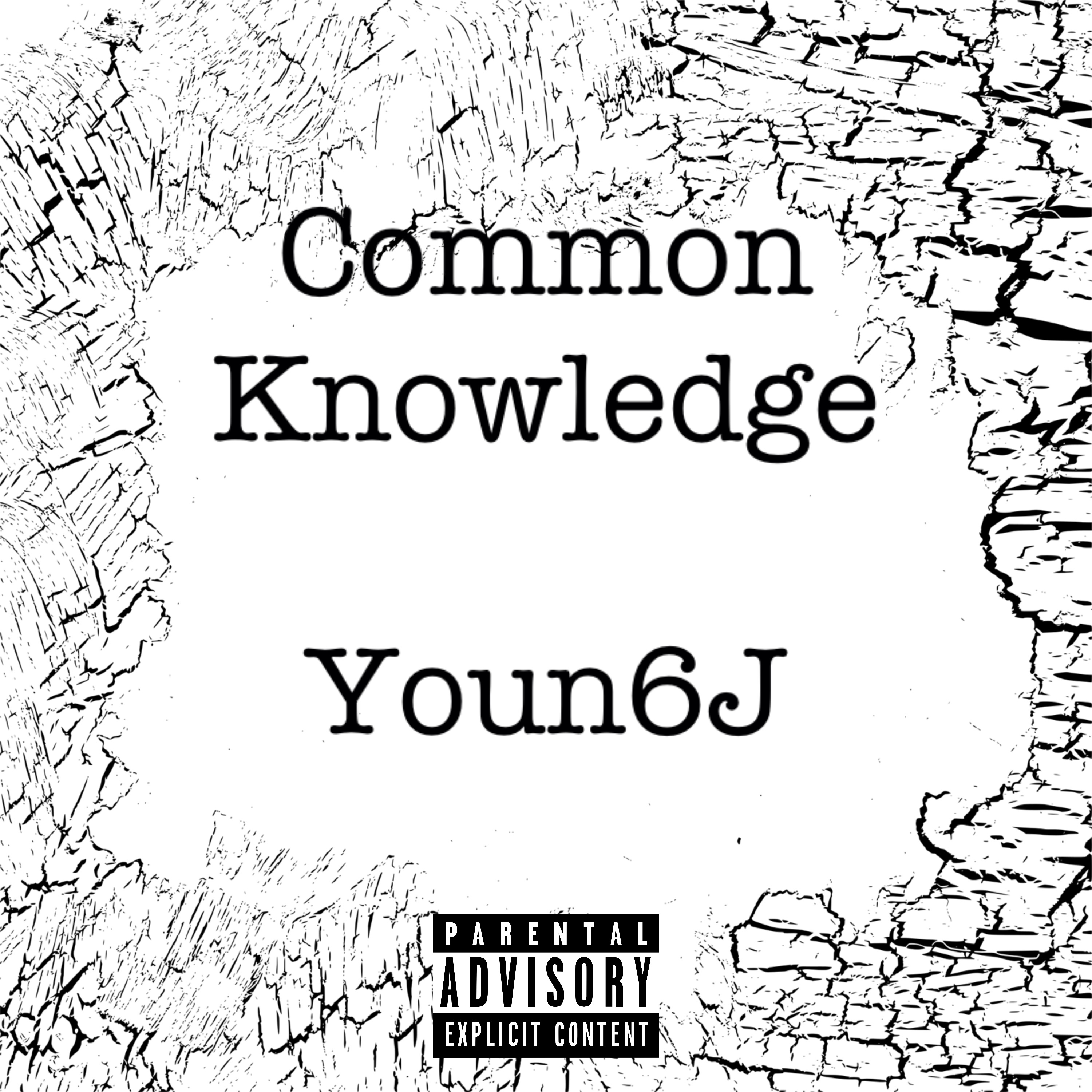 Common Knowledge artwork