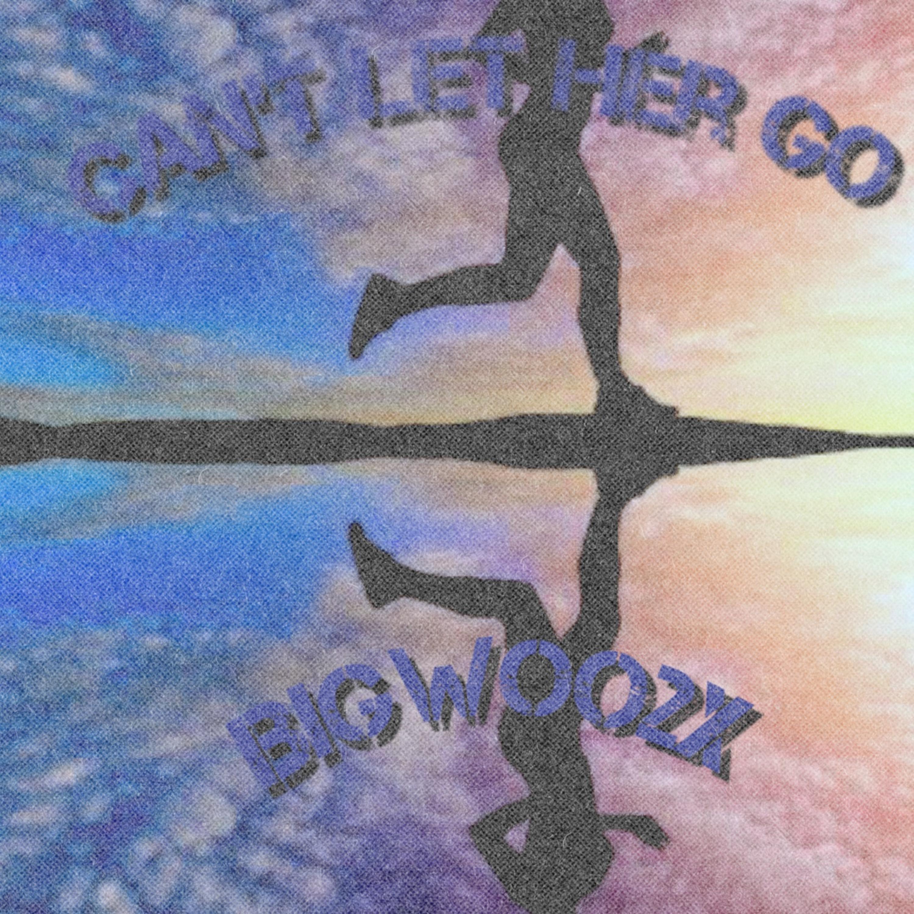 Can’t Let Her Go by Bigwoo2x cover art