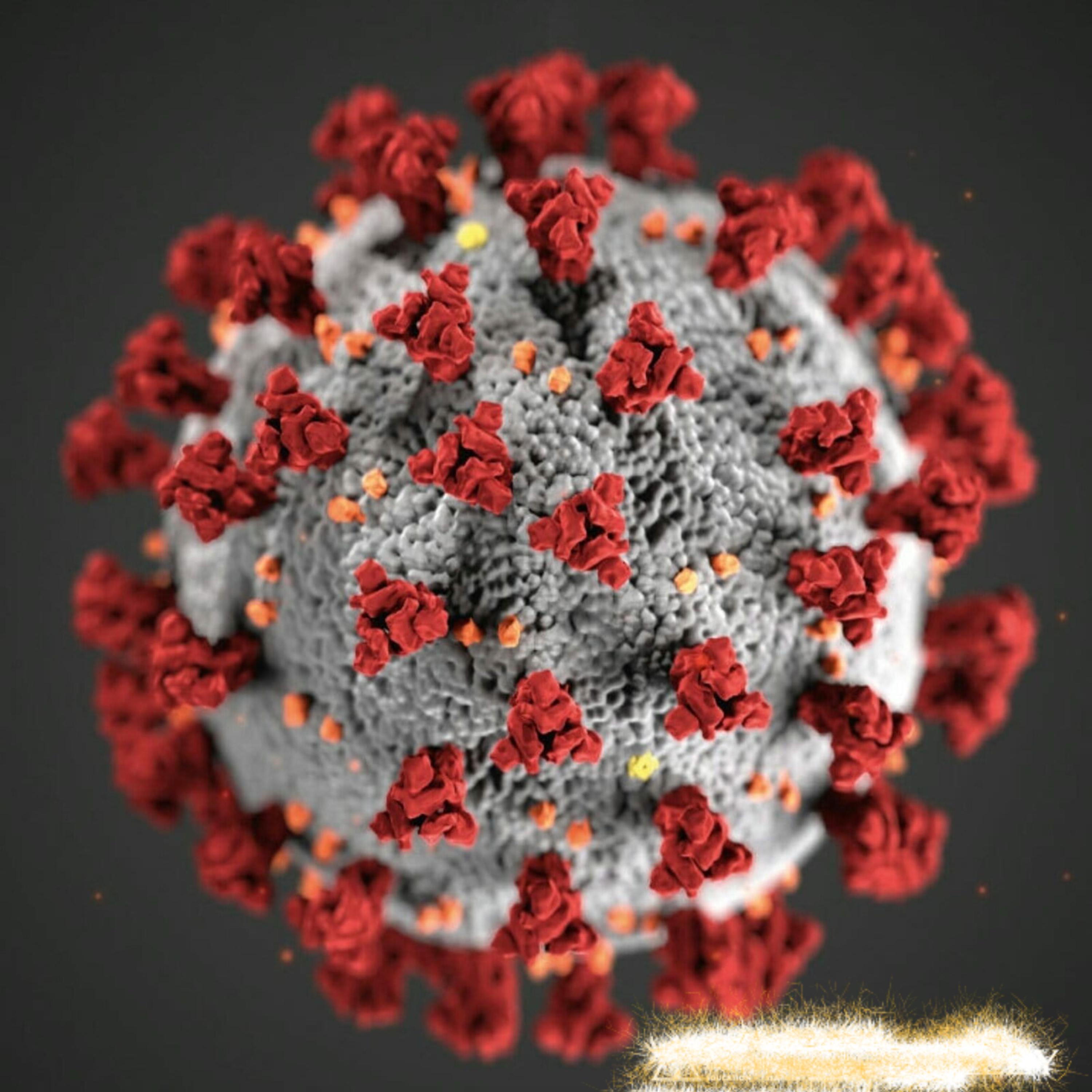 Corona Virus artwork