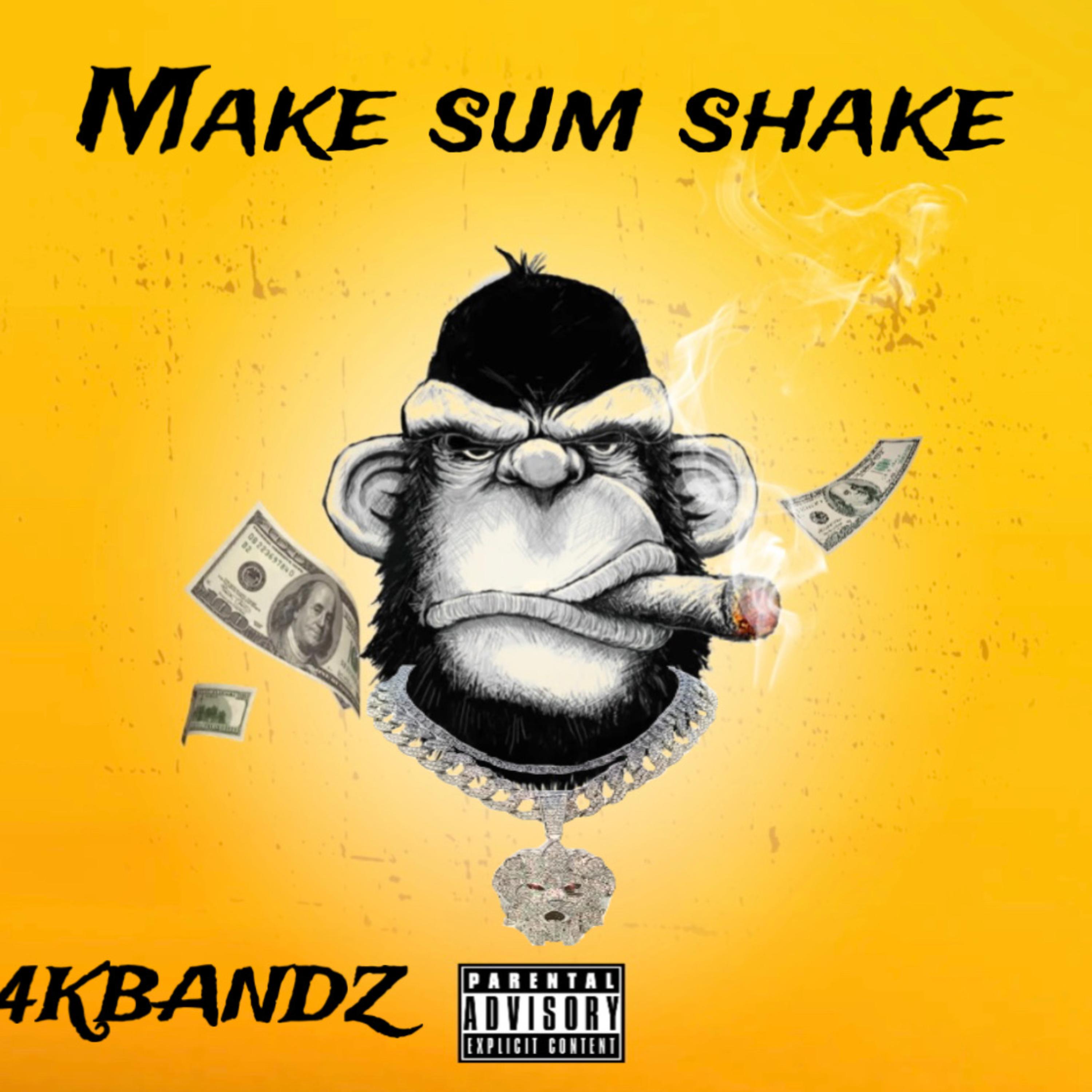 Make Sum Shake artwork