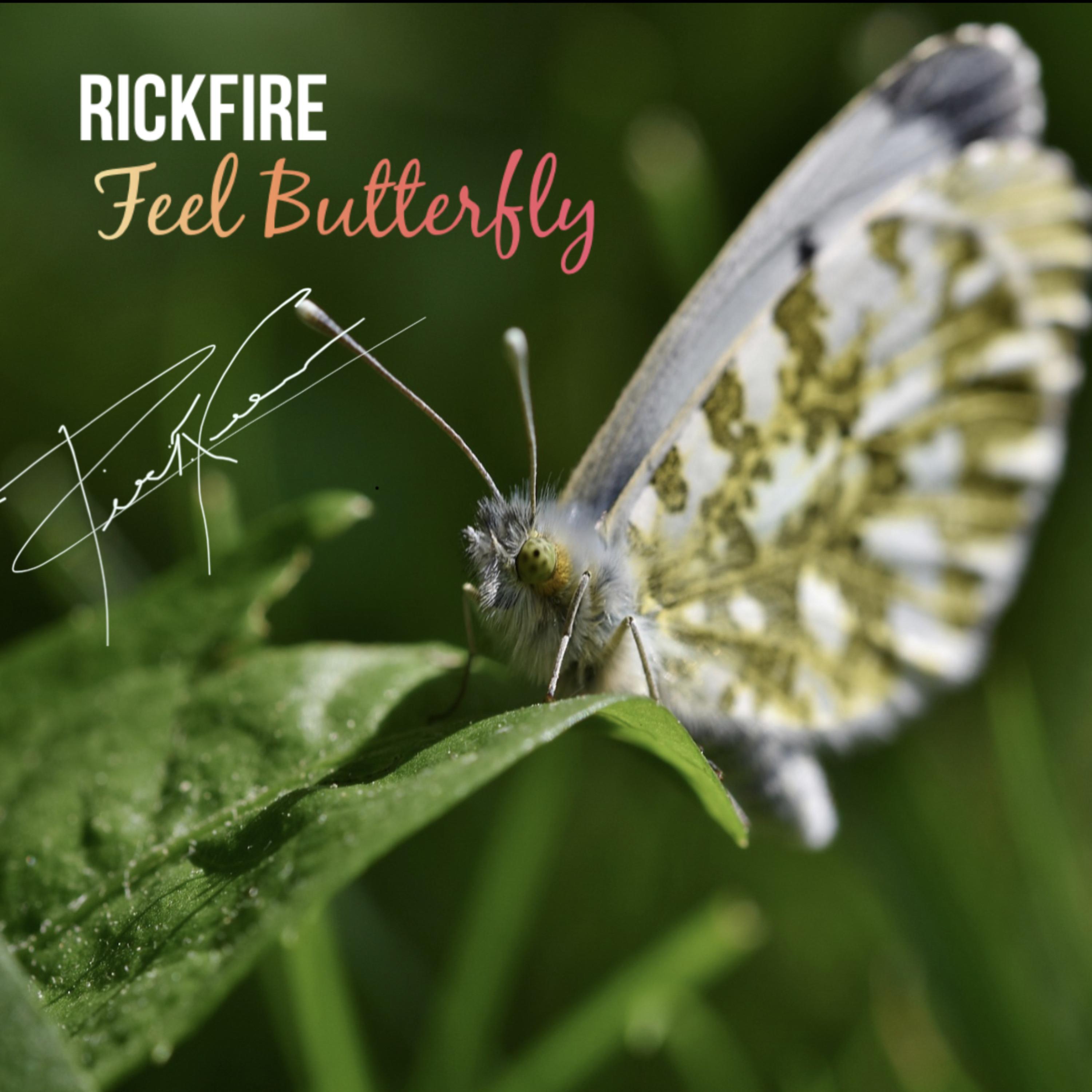 Feel Butterfly artwork