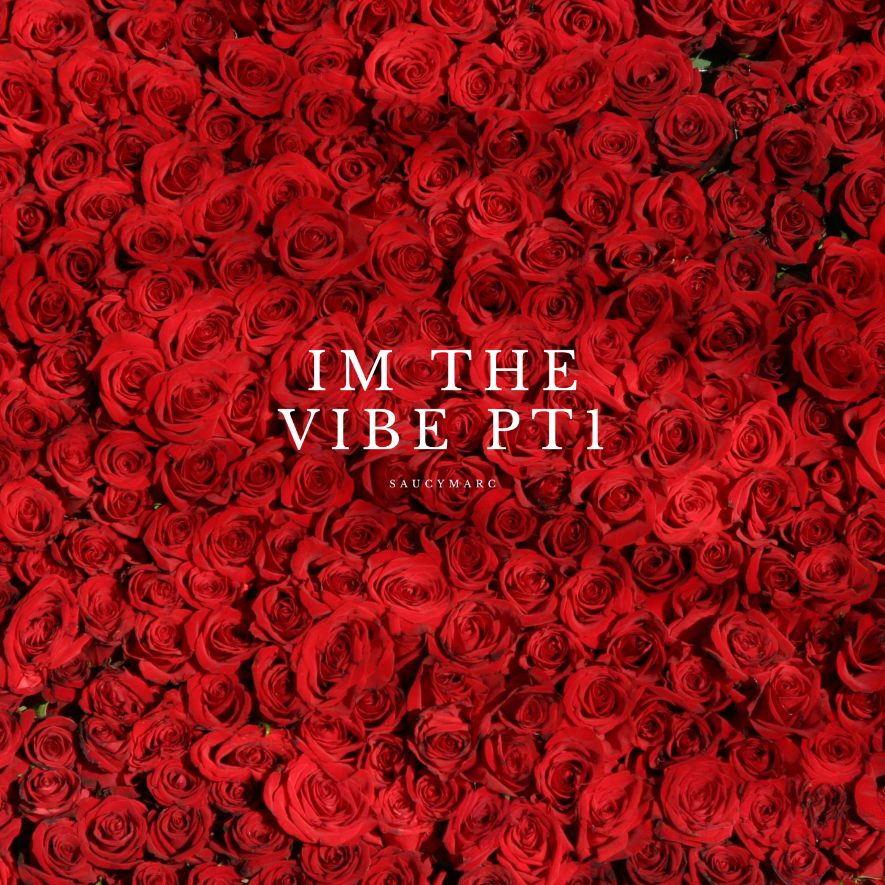 Im The Vibe Pt1 artwork