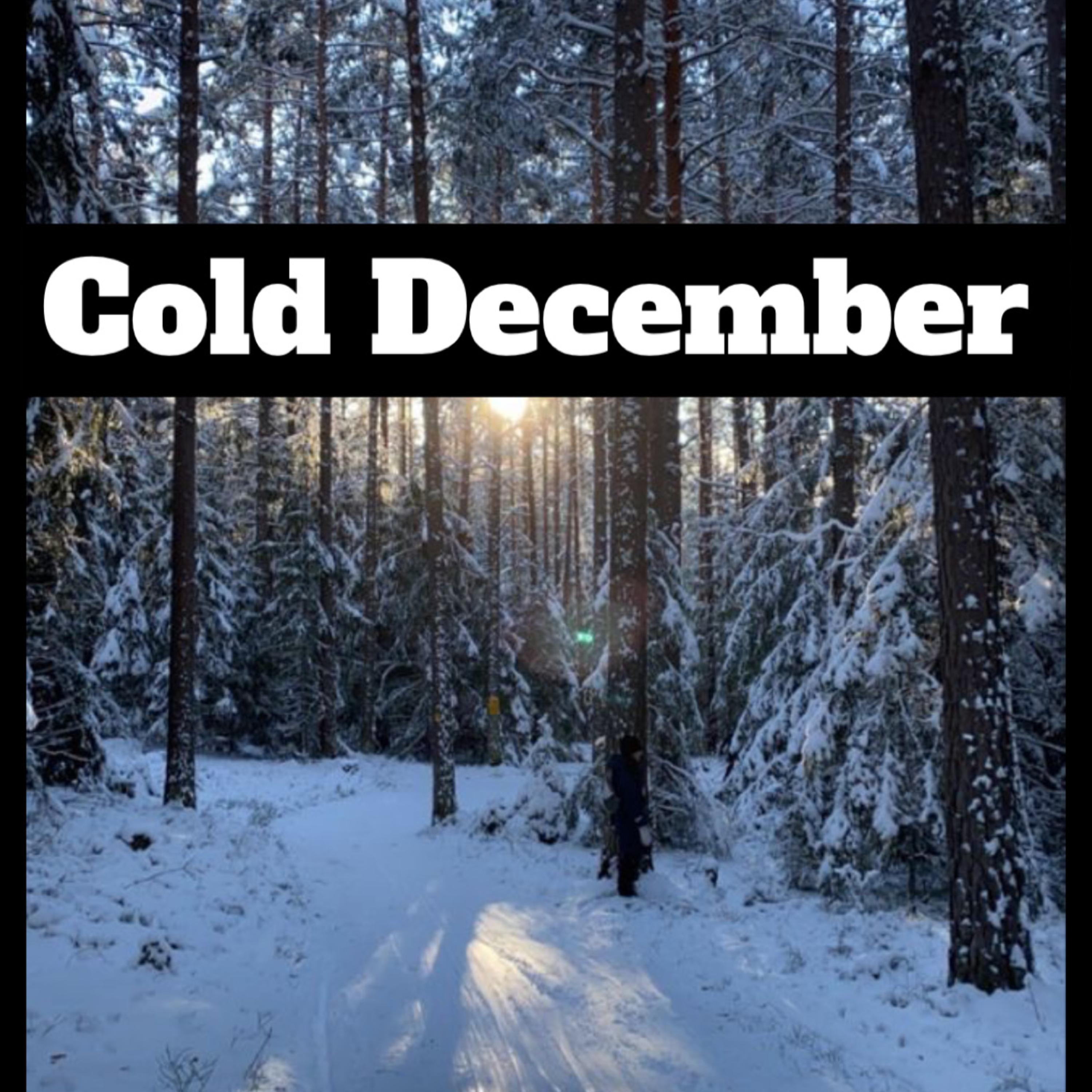 Cold December artwork