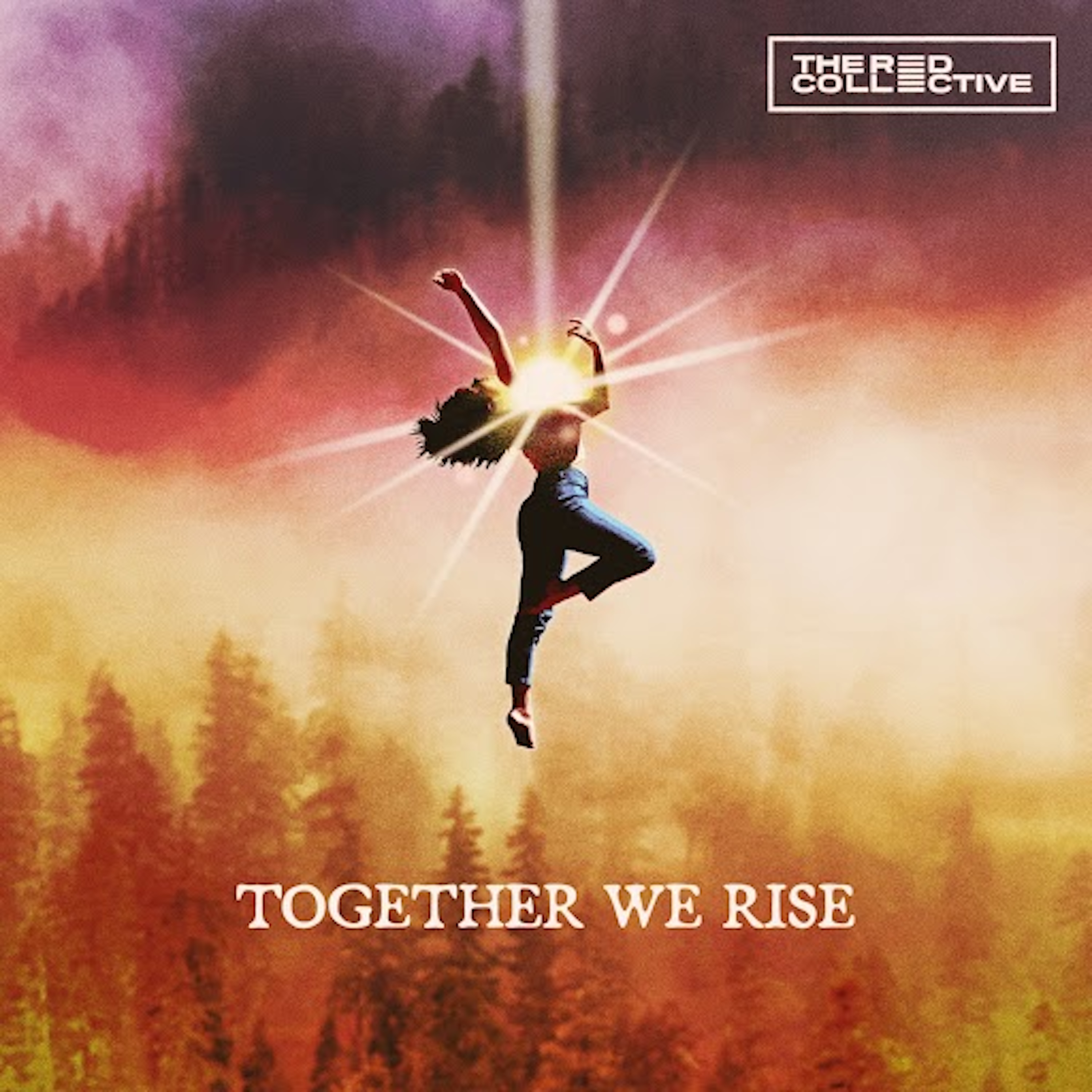 Together We Rise artwork