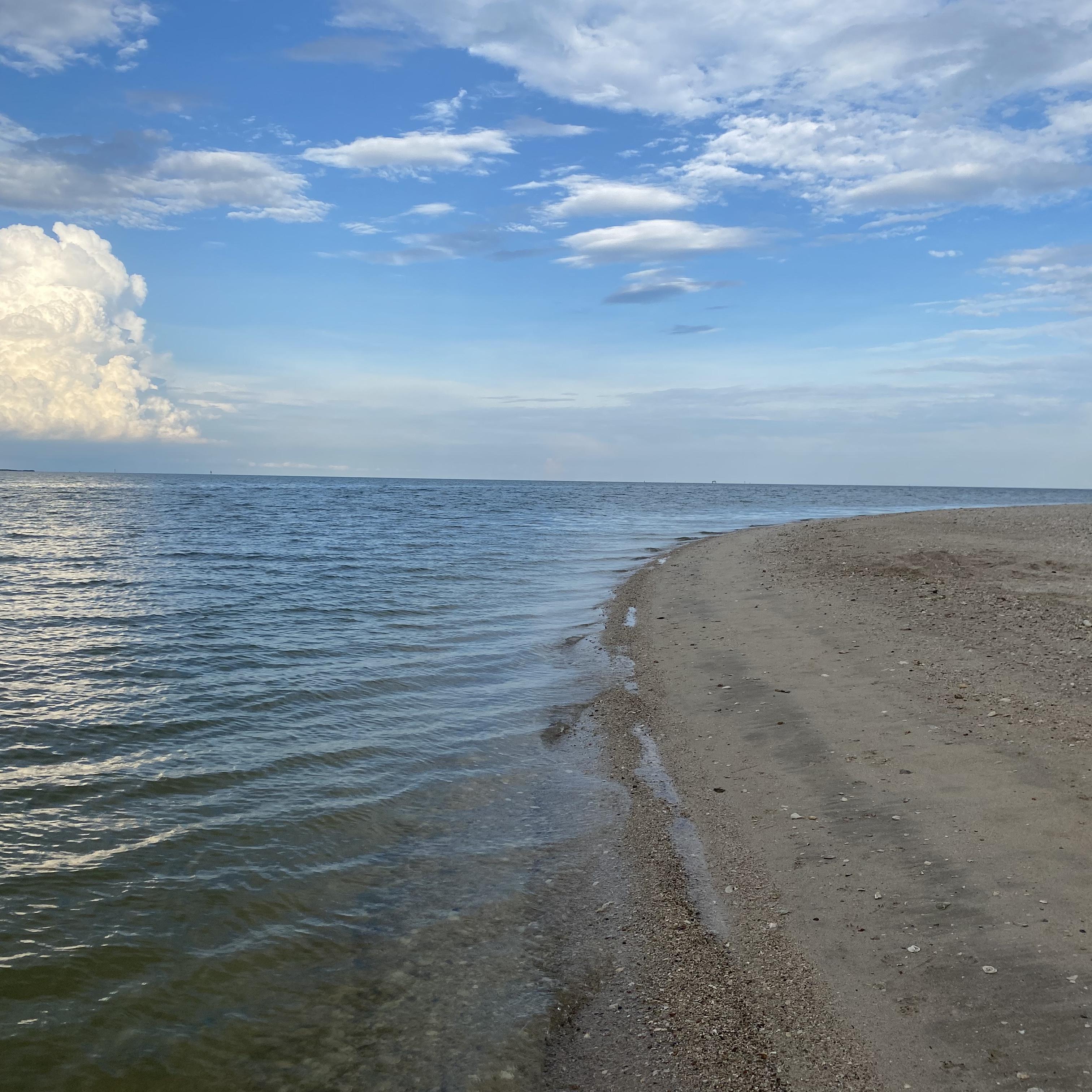 The Beach Where Daddy Stood artwork