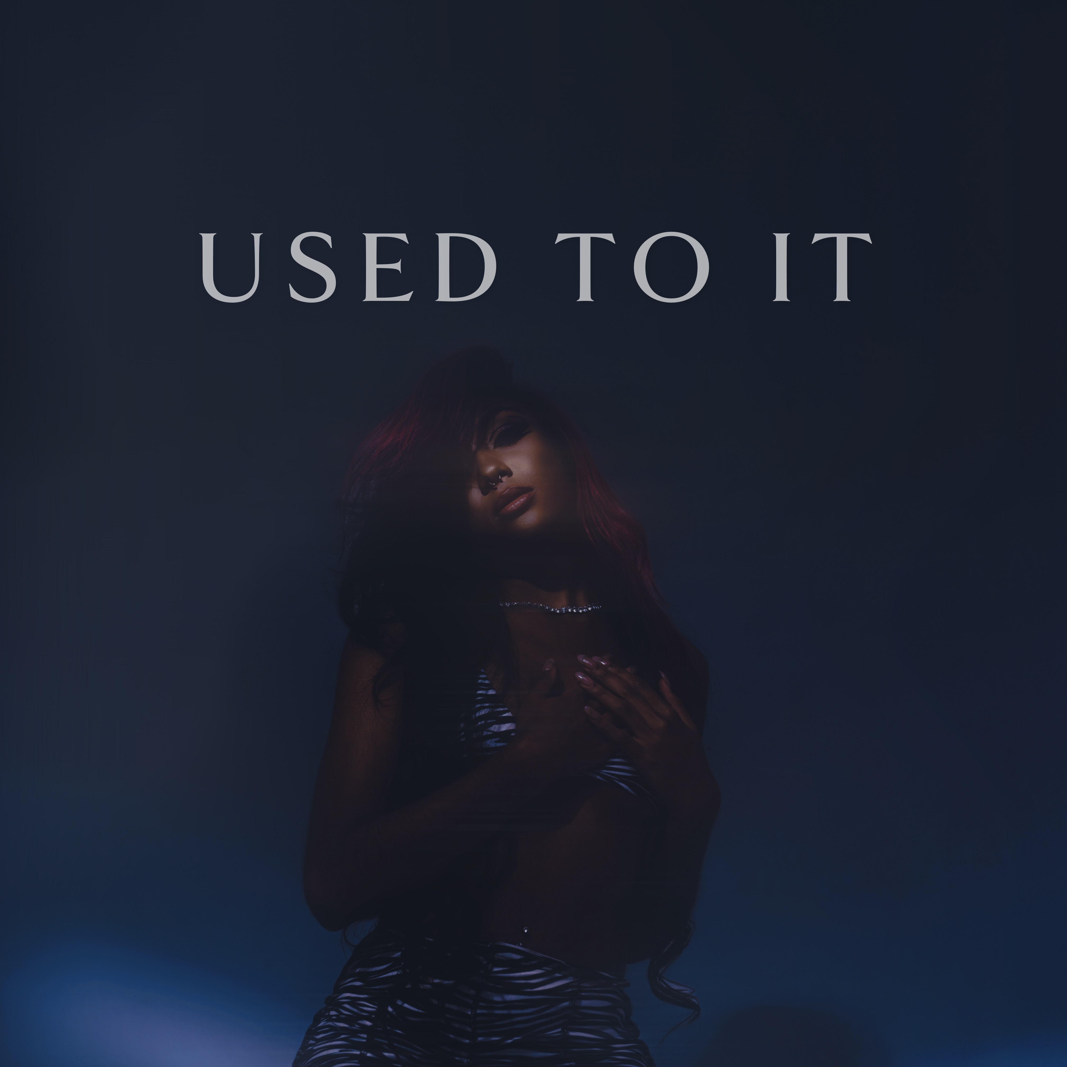 Used To It by Journey Montana cover art