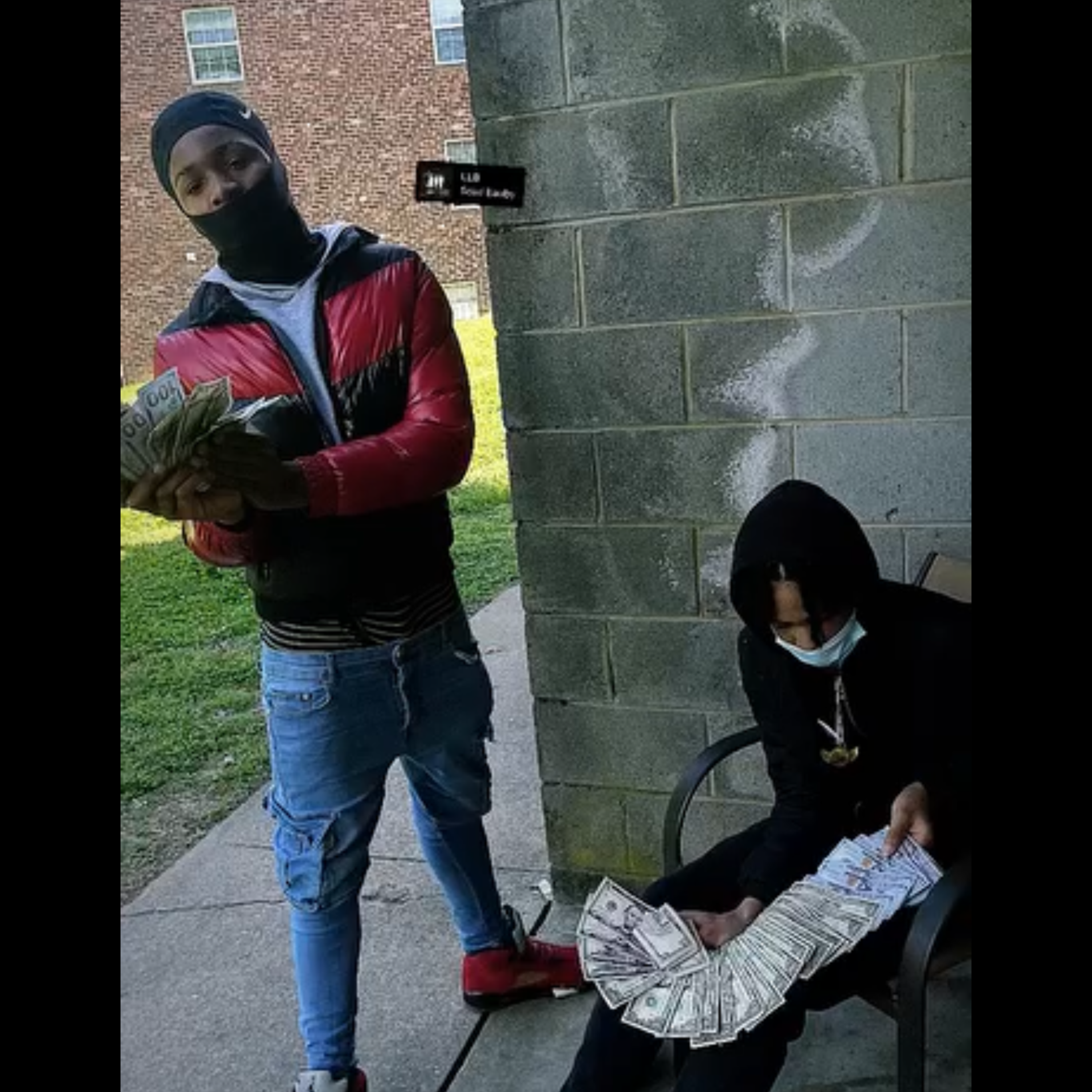 Longliveferb artwork