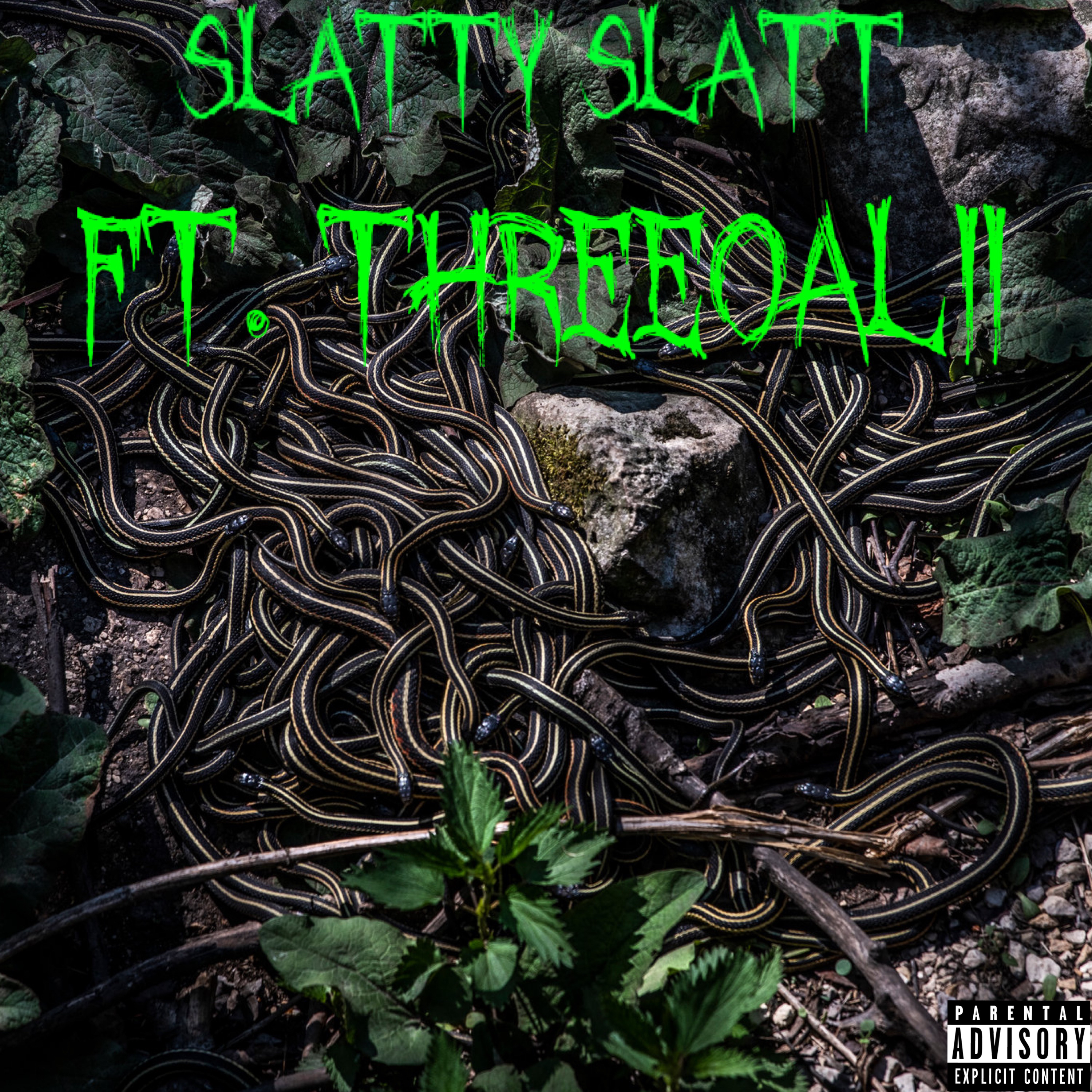 Slatty Slatt artwork